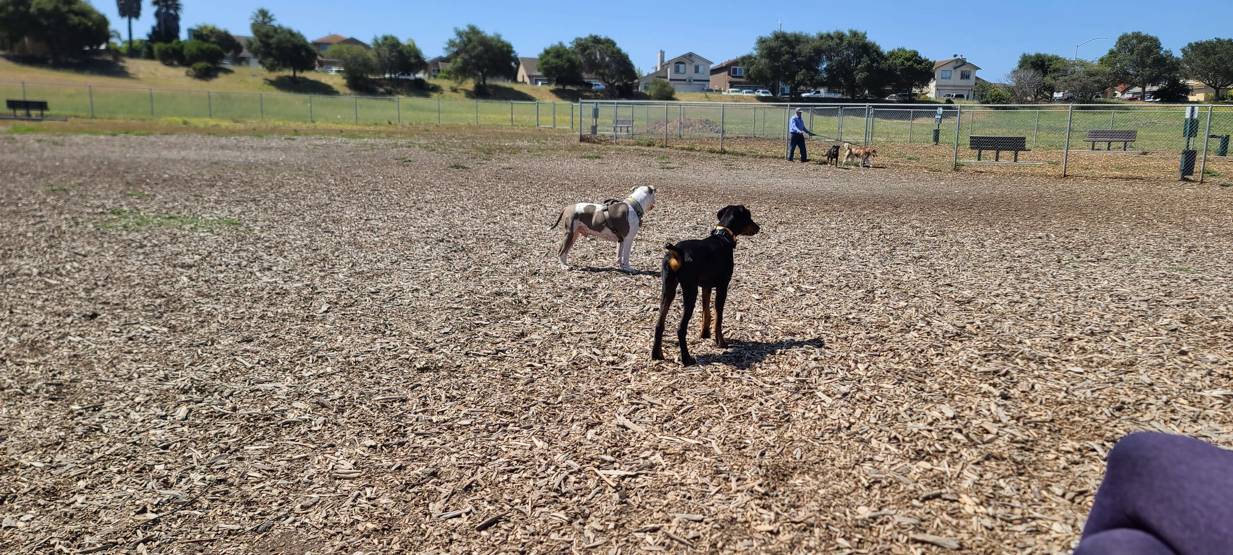 Natividad Creek Dog Park