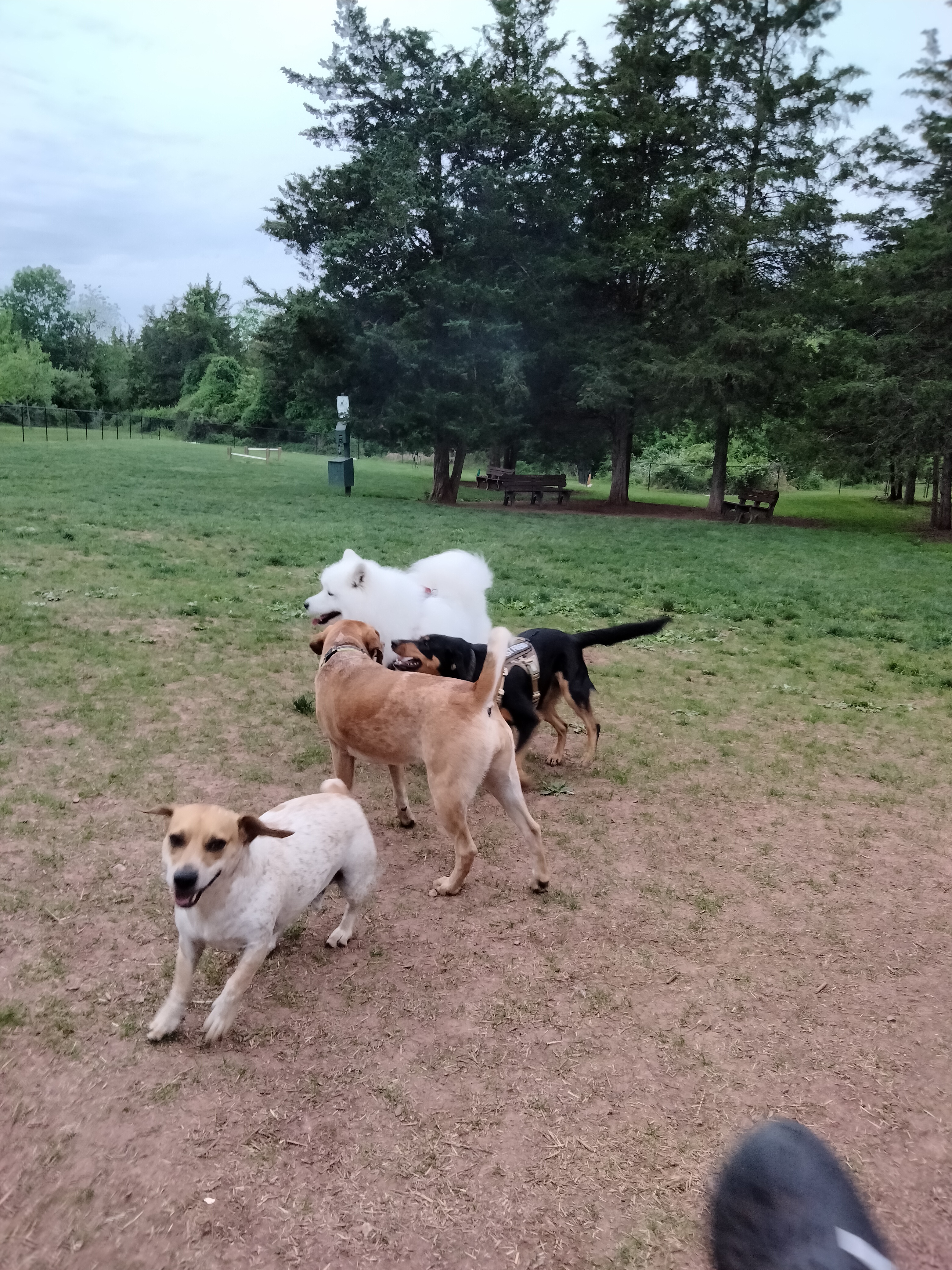 Ann Van Middlesworth Dog Park