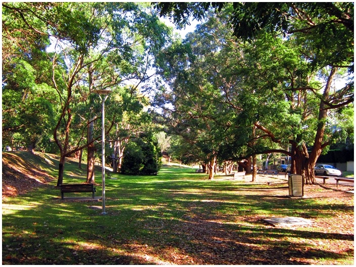 Newlands Park Off Leash Area
