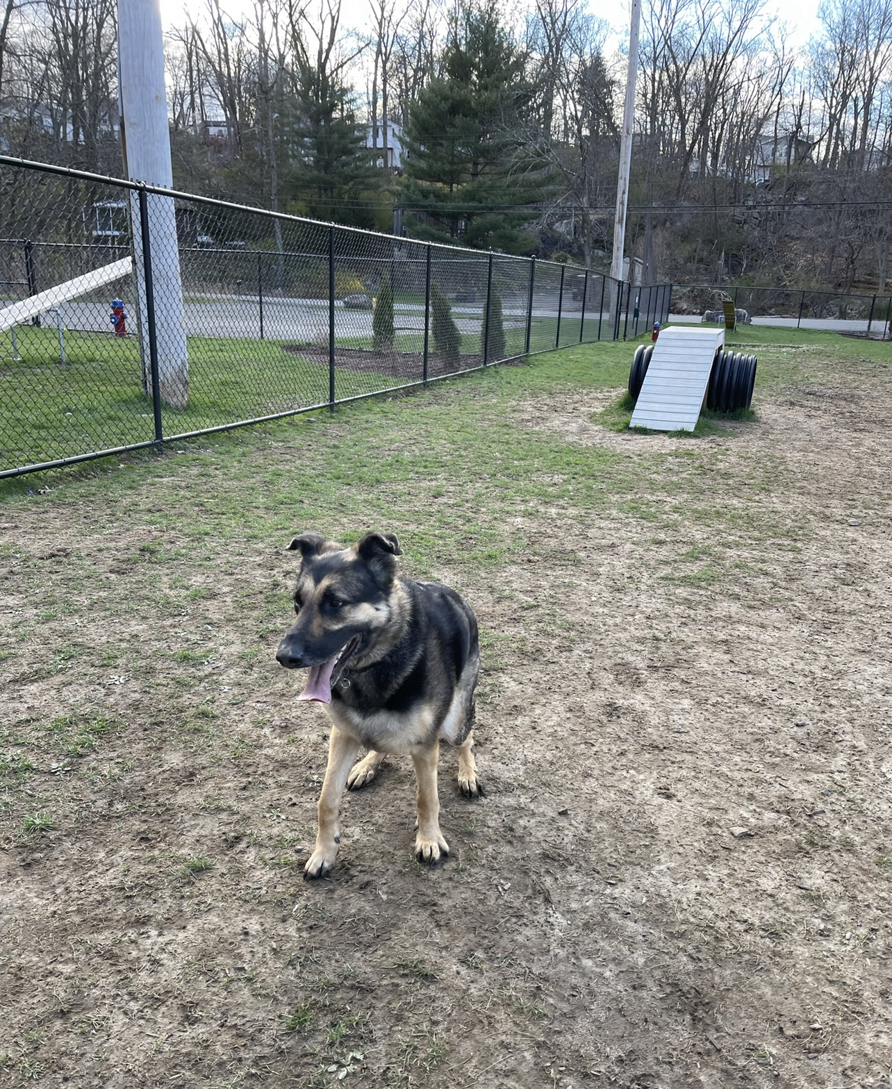 Jefferson Trail Dog Park