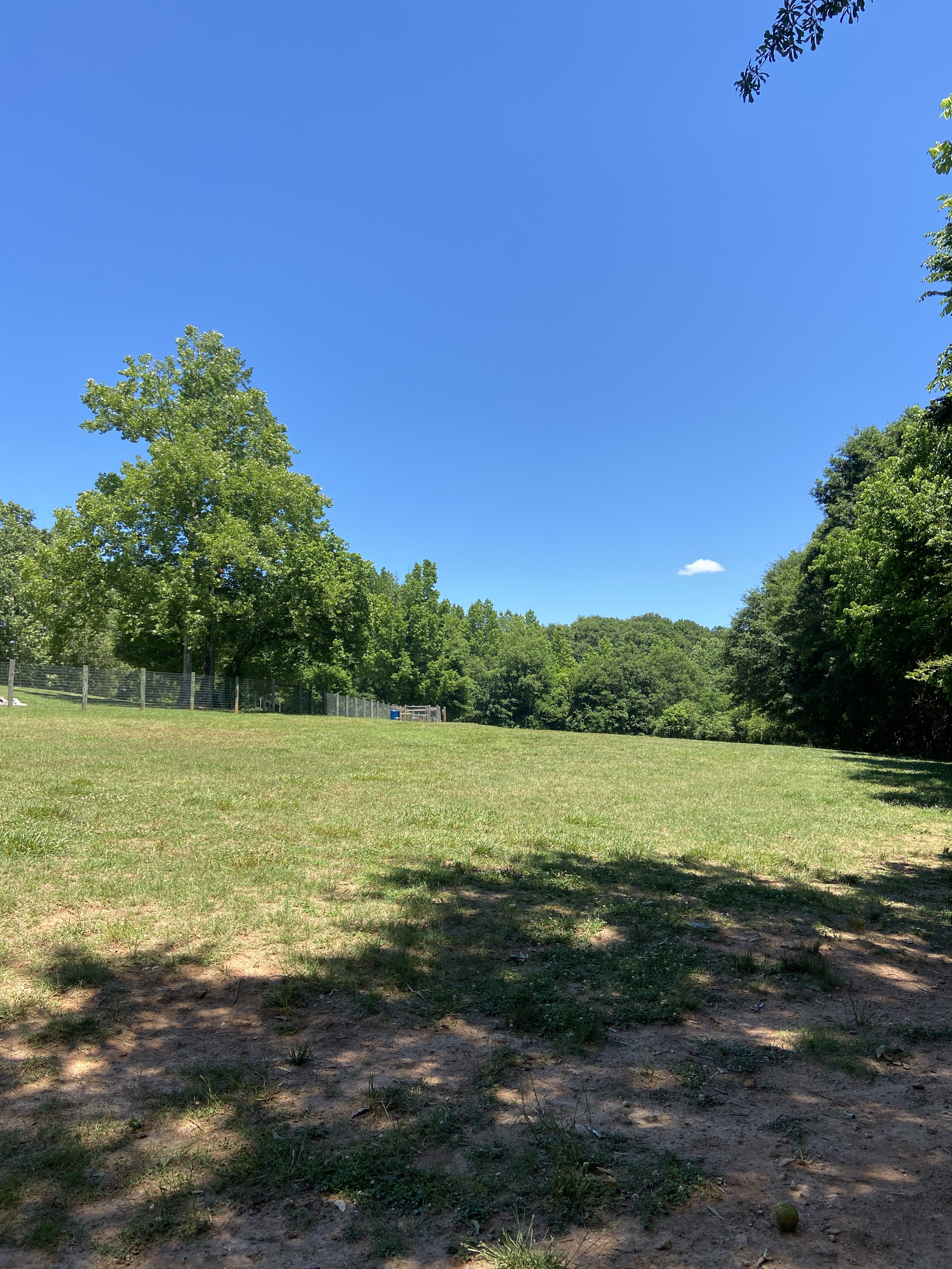 Sandy Creek Public Dog Park