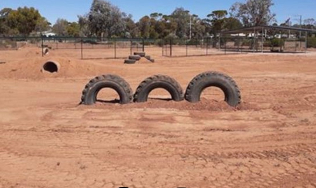 Hawker War Memorial Dog Park