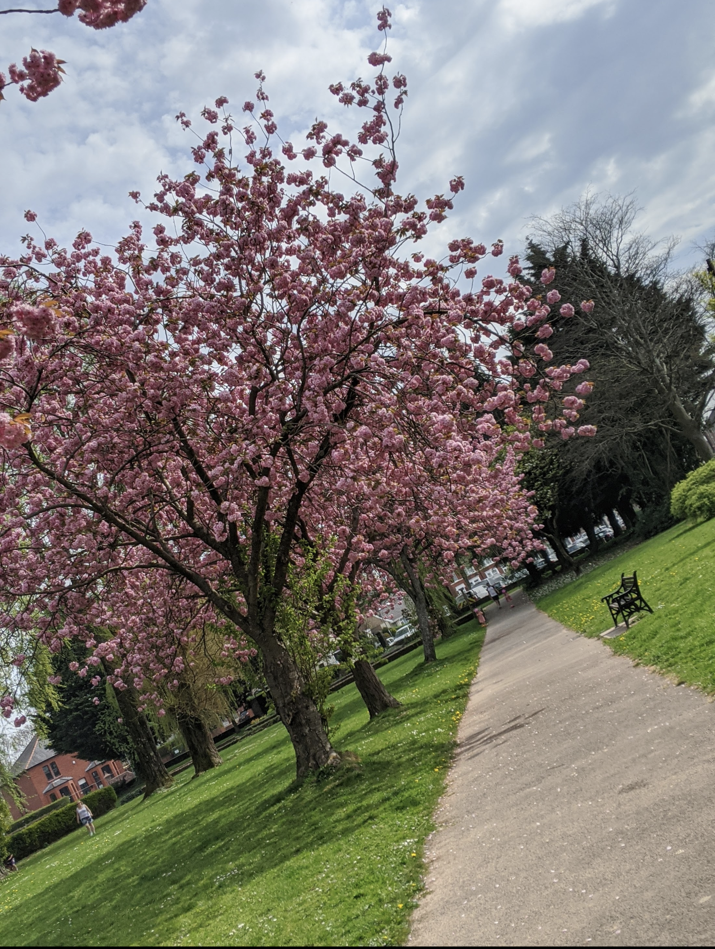 Oakfield Flower Gardens