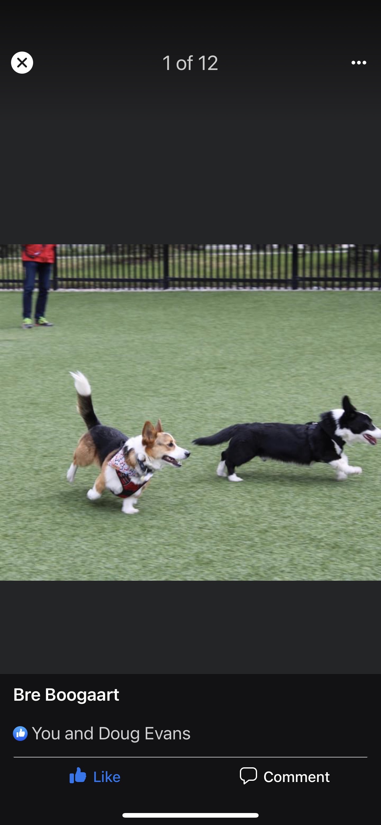 Three Sisters Dog Park