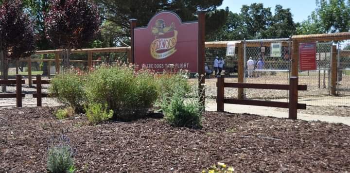 Sherwood Dog Park, Paso Robles