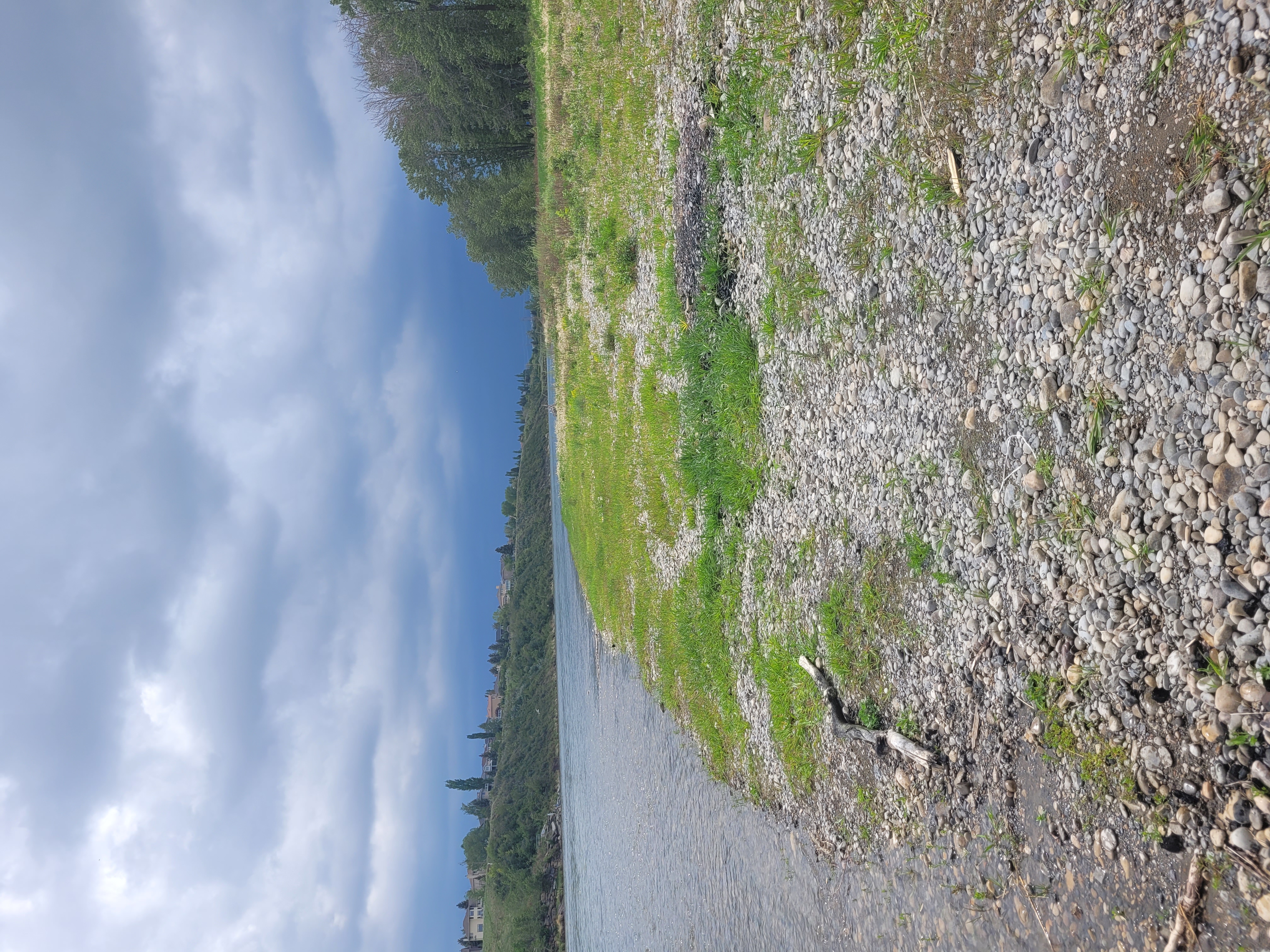 Rivers Edge In Fish Creek