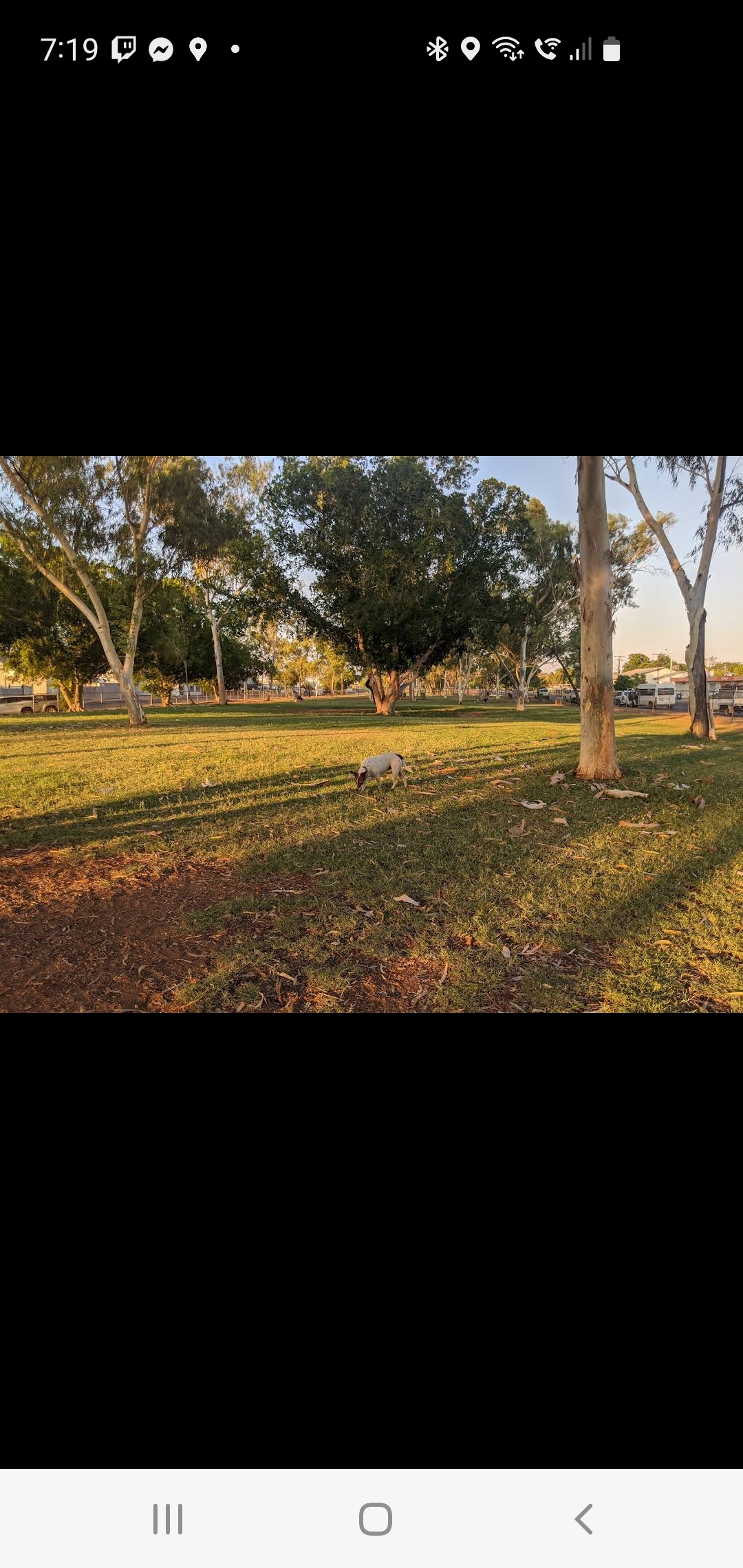 Sunset Drive Dog Park