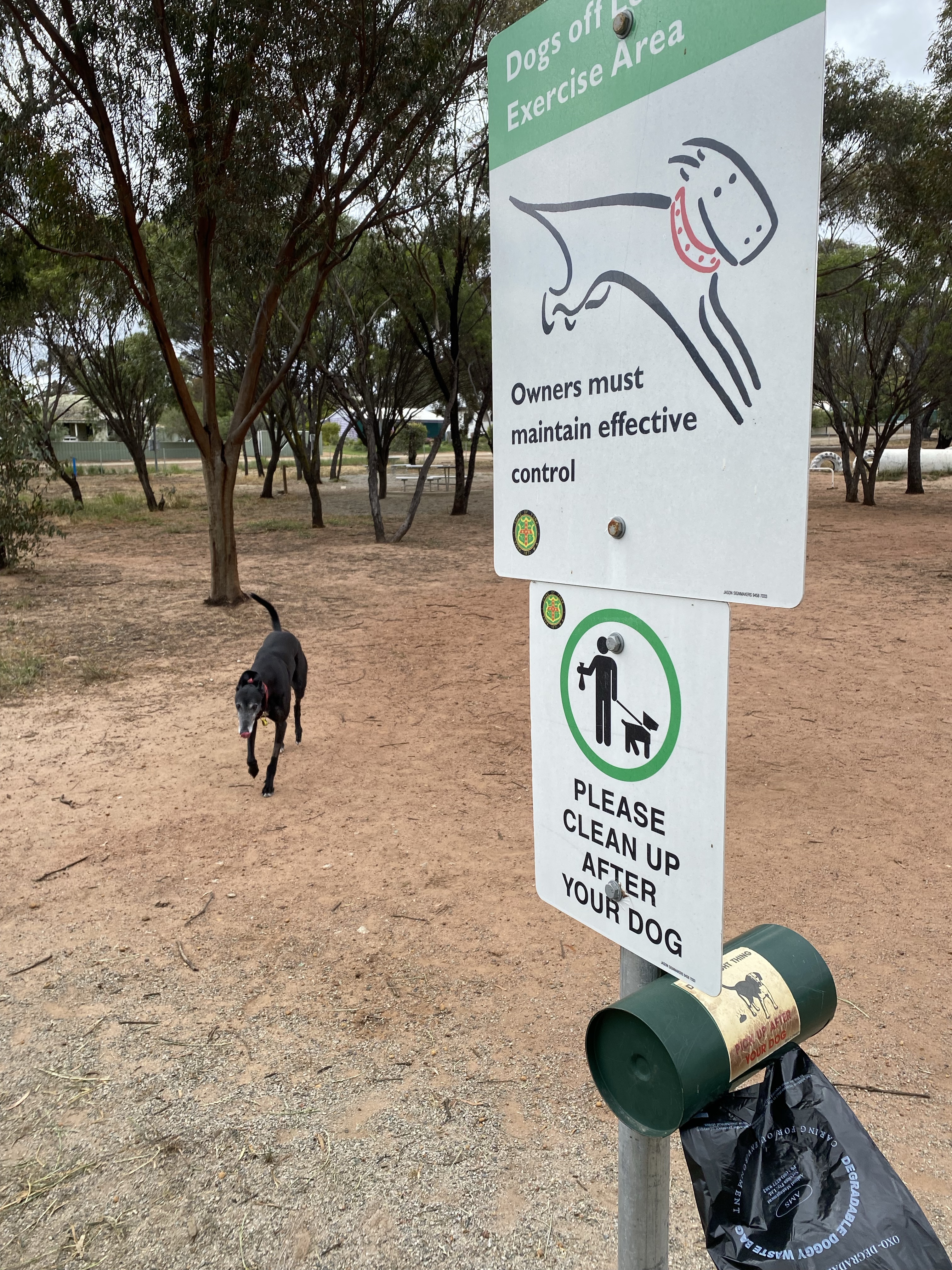 York Dog Exercise Area