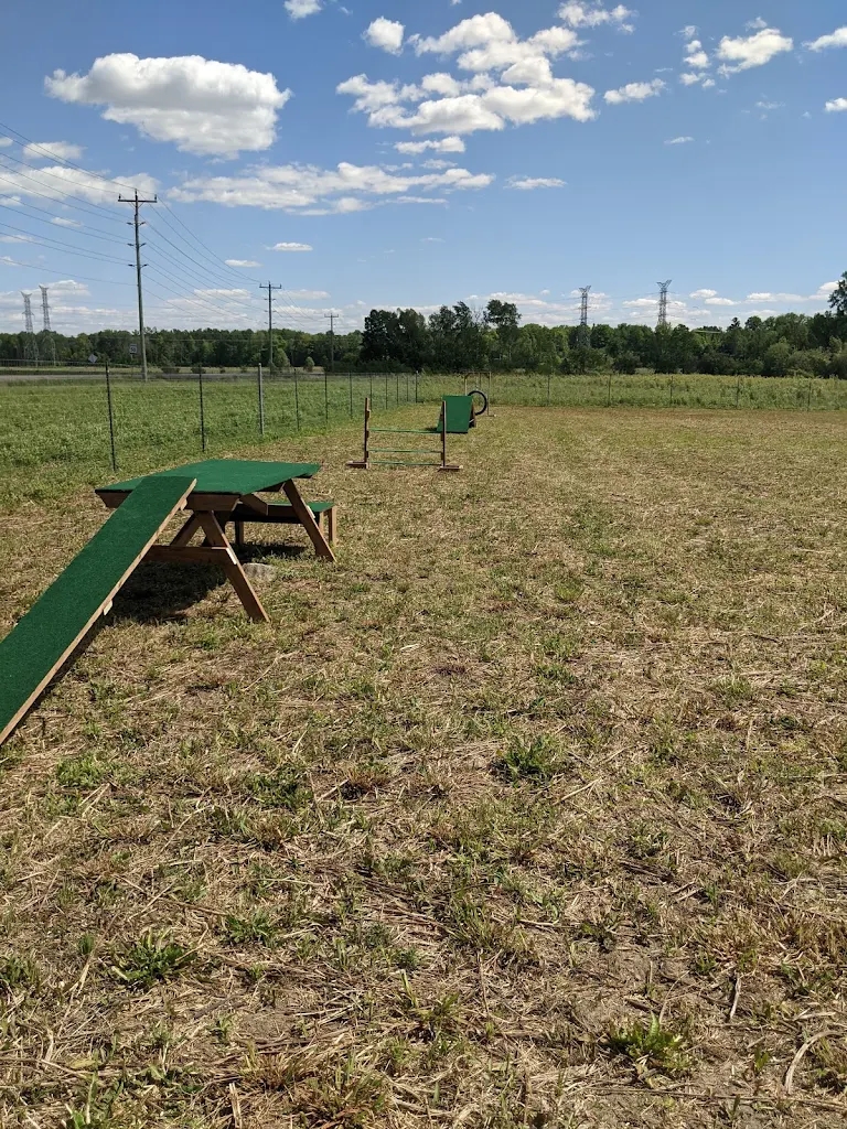 Country Canines Play Park Cumberland - Appointment Required