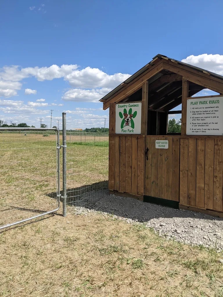 Country Canines Play Park Cumberland - Appointment Required