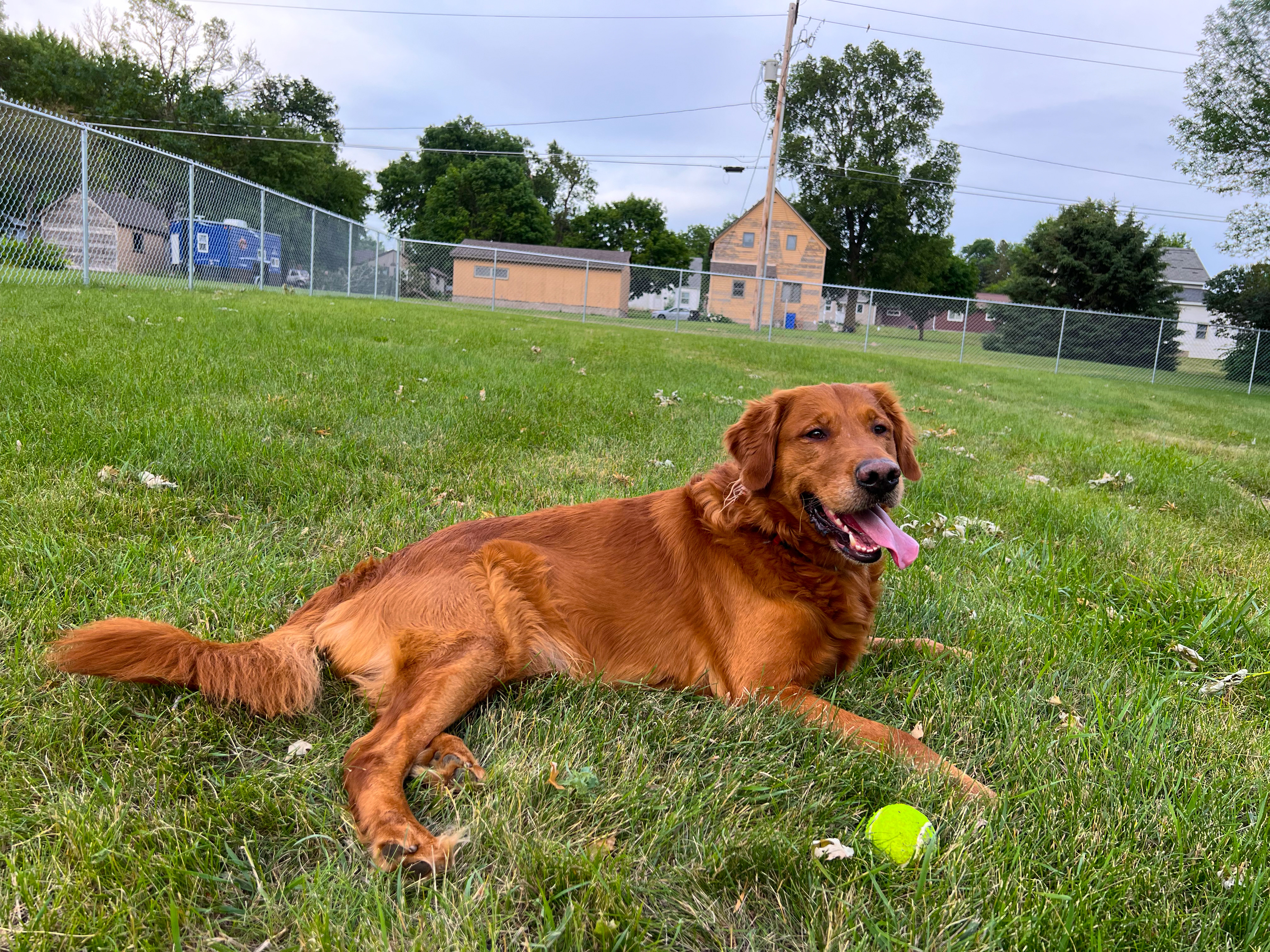 Centennial Park Dog Park, MN