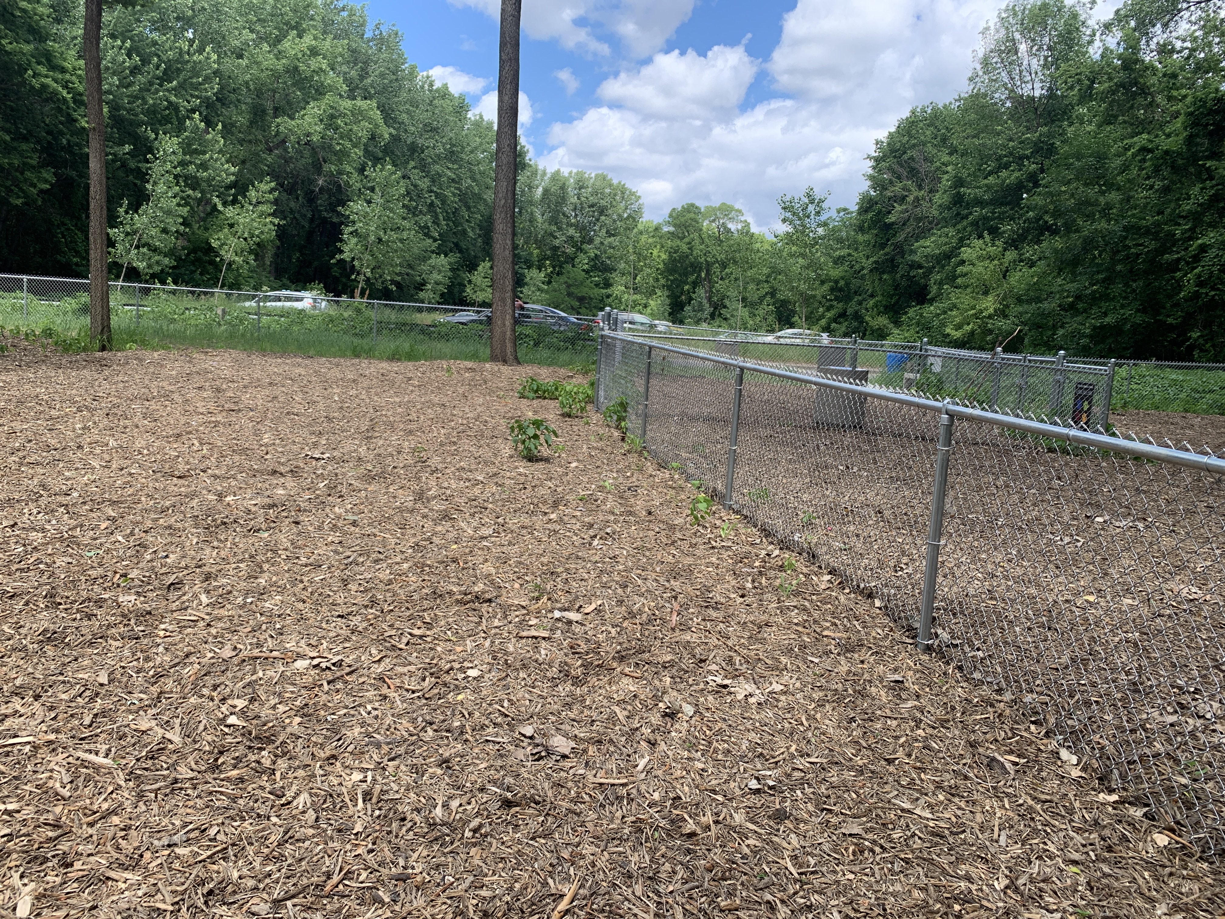 Lilydale Regional Off Leash Dog Park