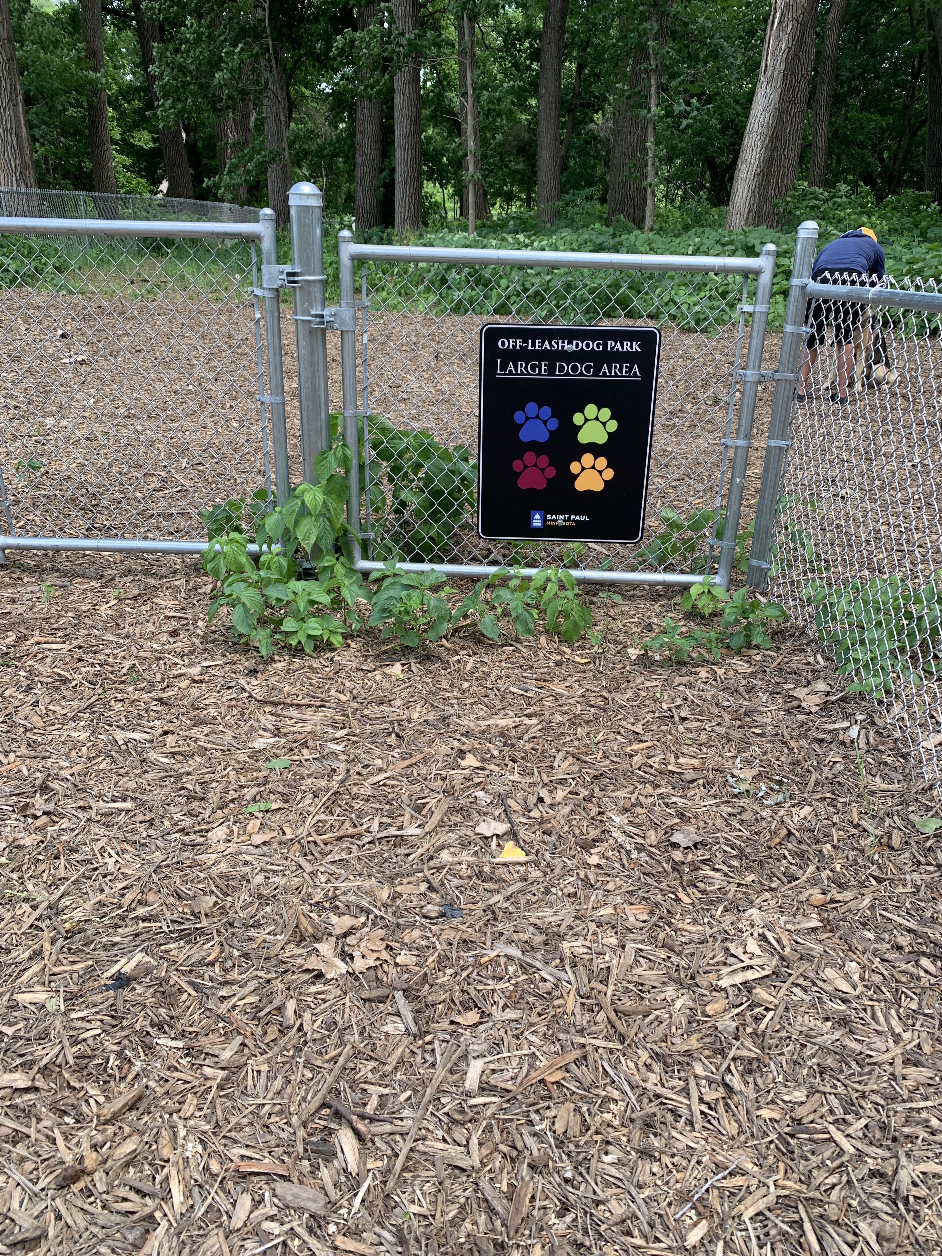 Lilydale Regional Off Leash Dog Park