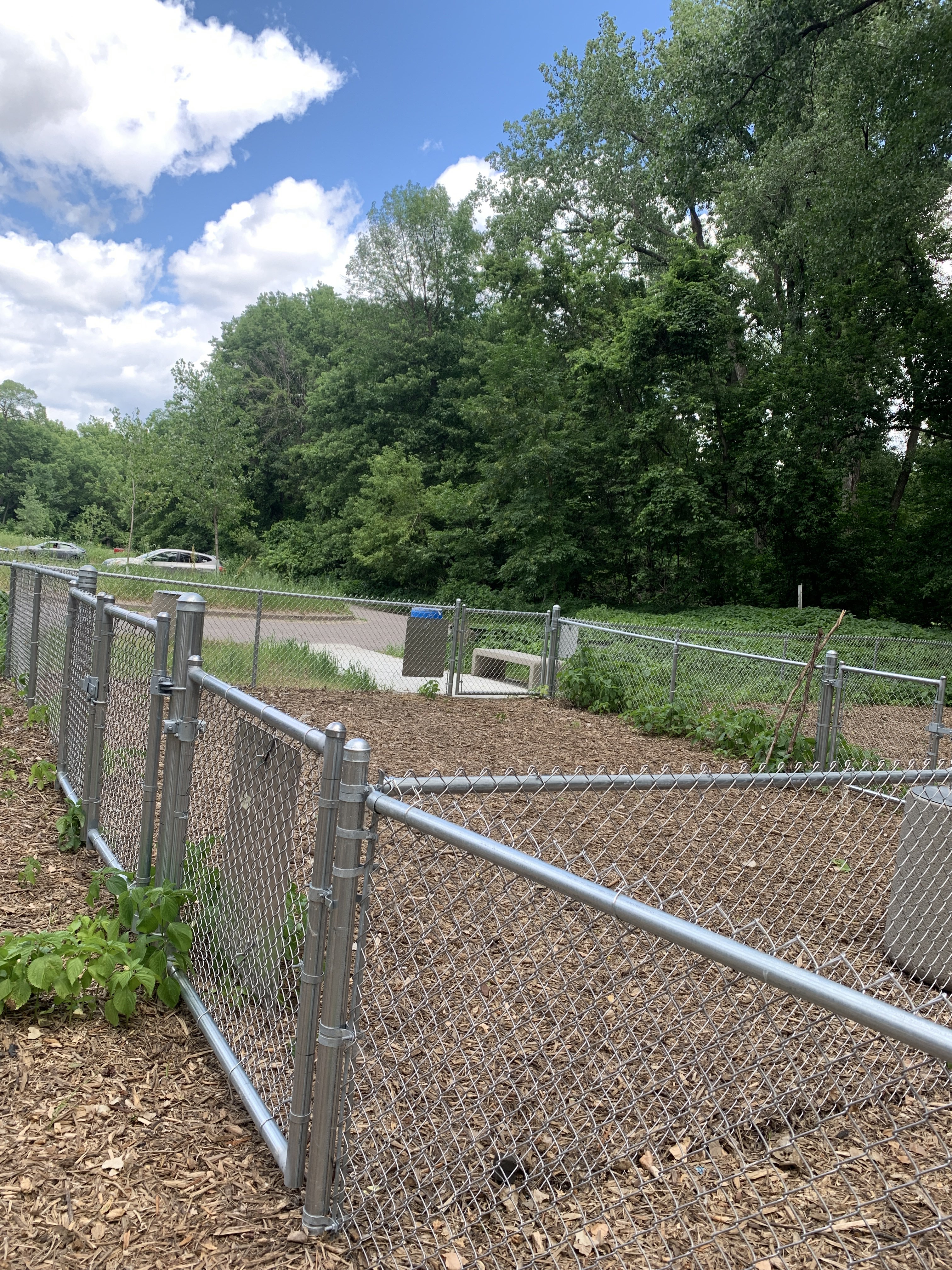 Lilydale Regional Off Leash Dog Park