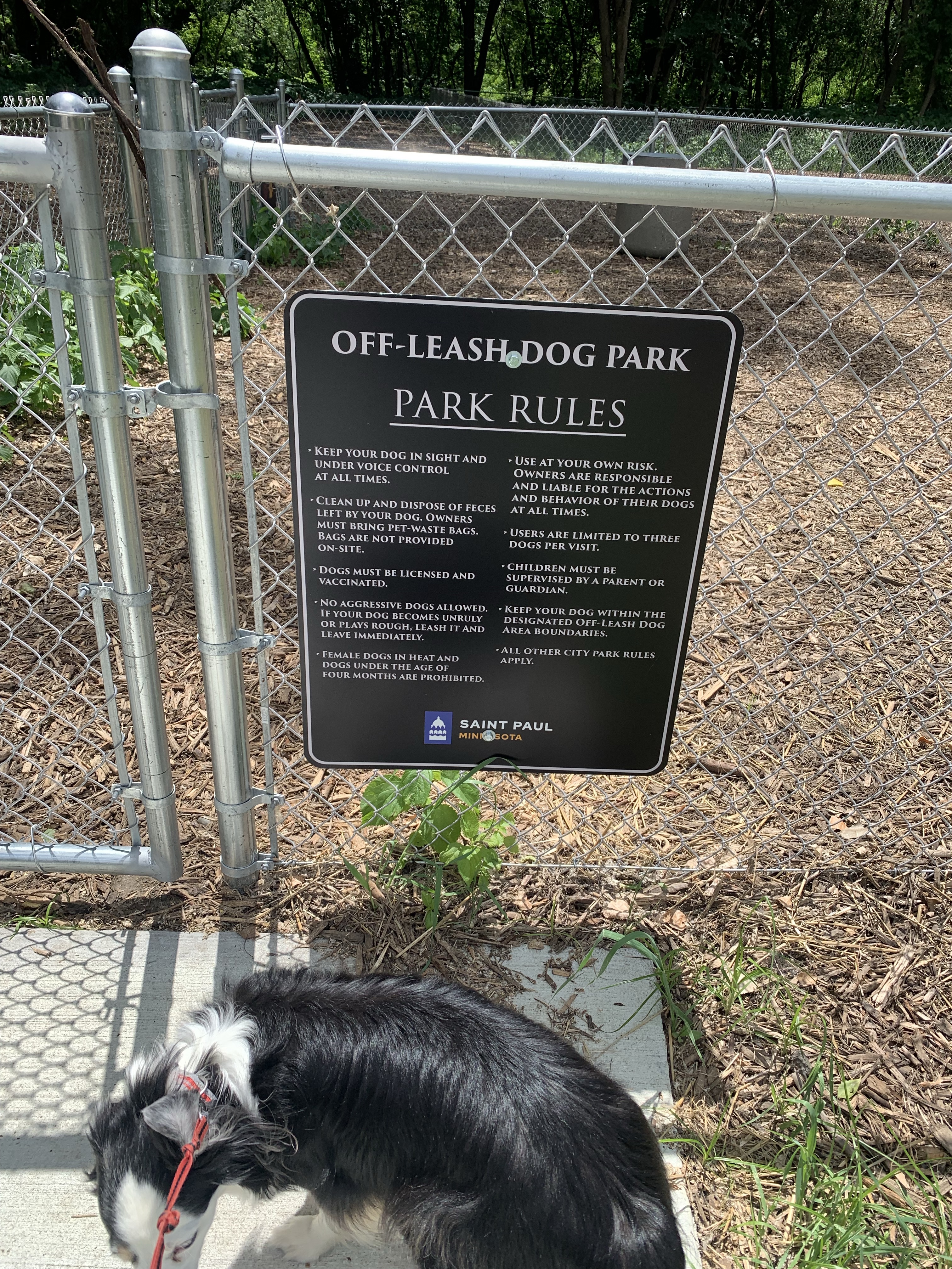 Lilydale Regional Off Leash Dog Park