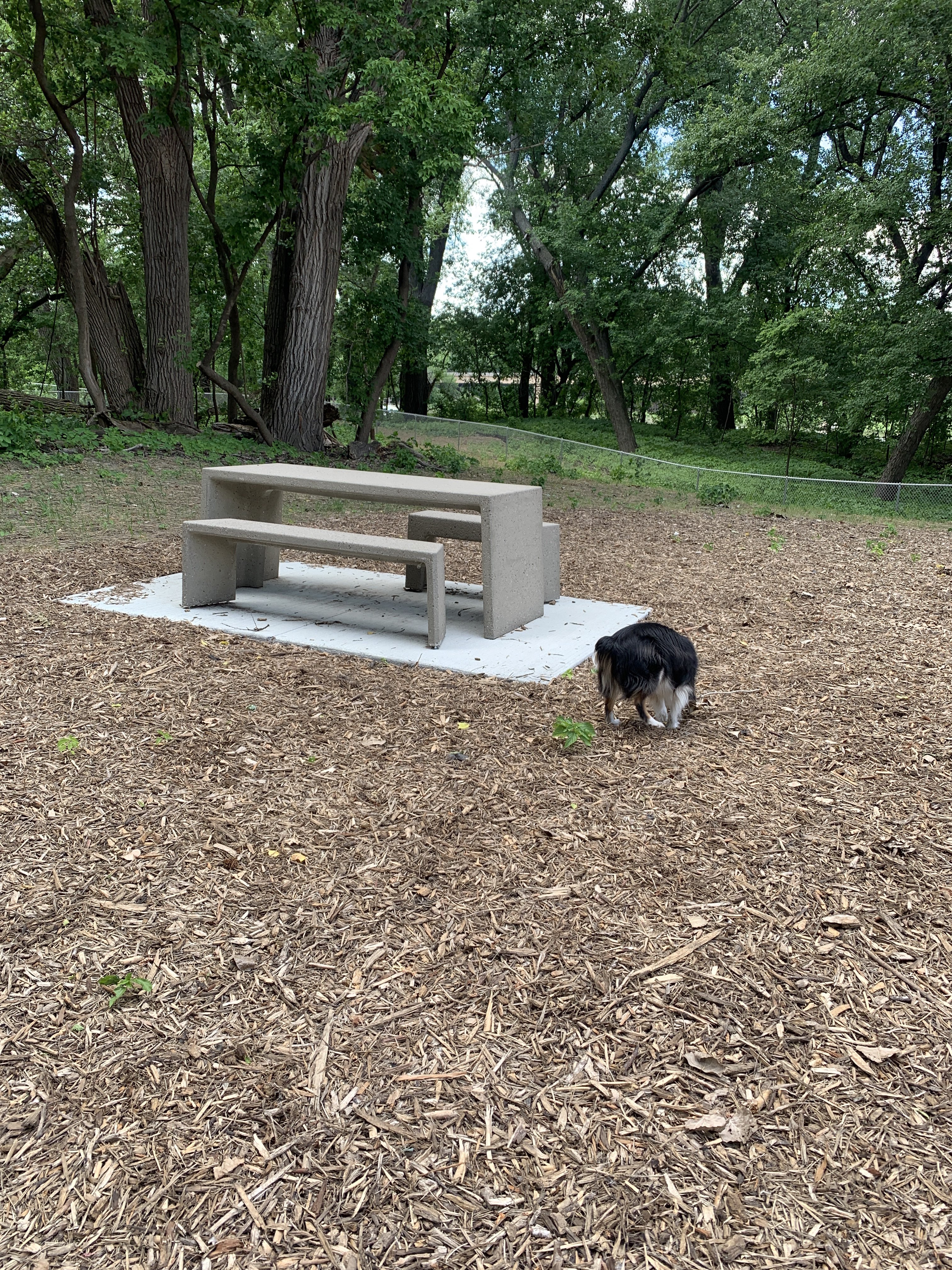 Lilydale Regional Off Leash Dog Park