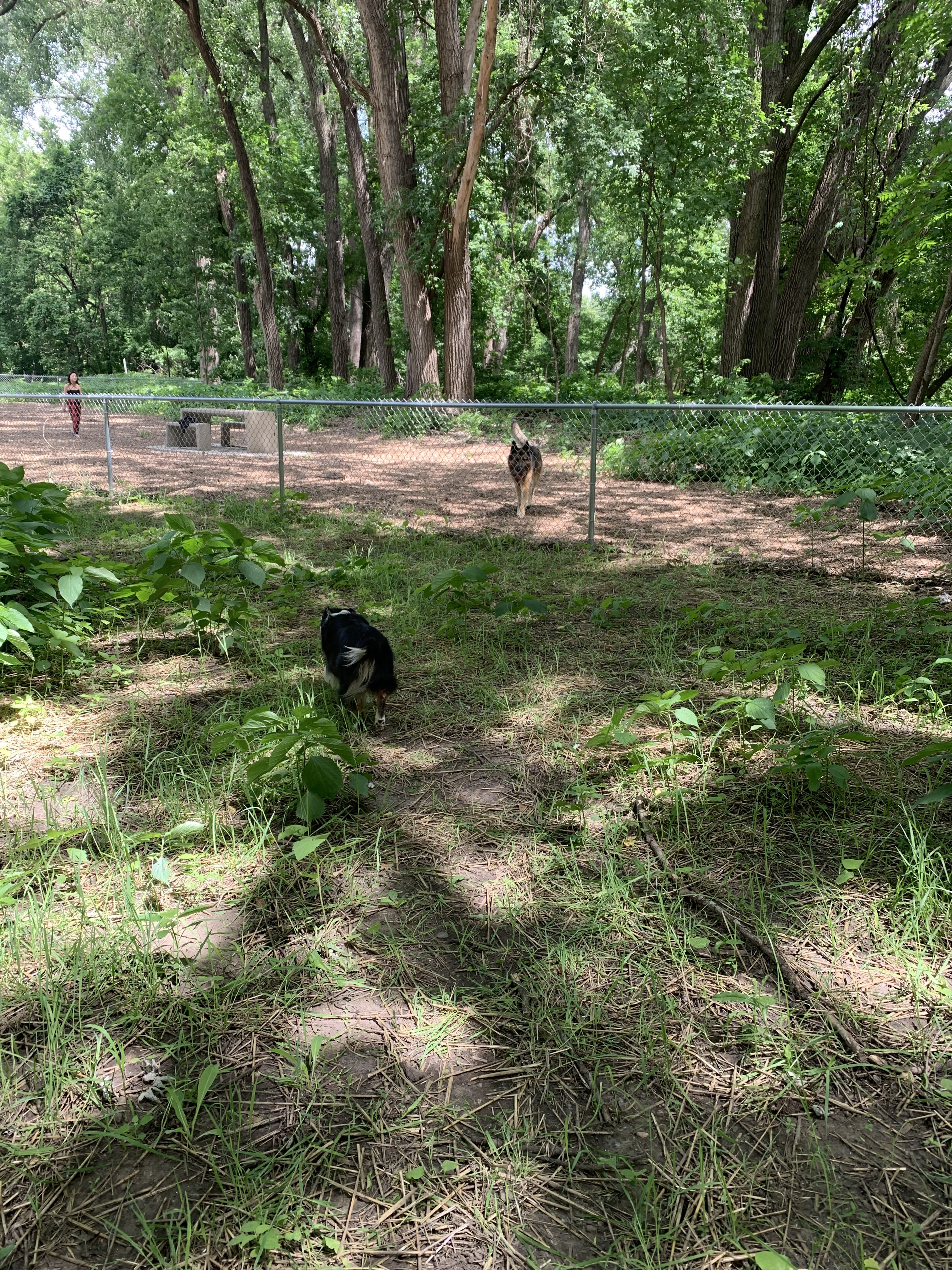 Lilydale Regional Off Leash Dog Park