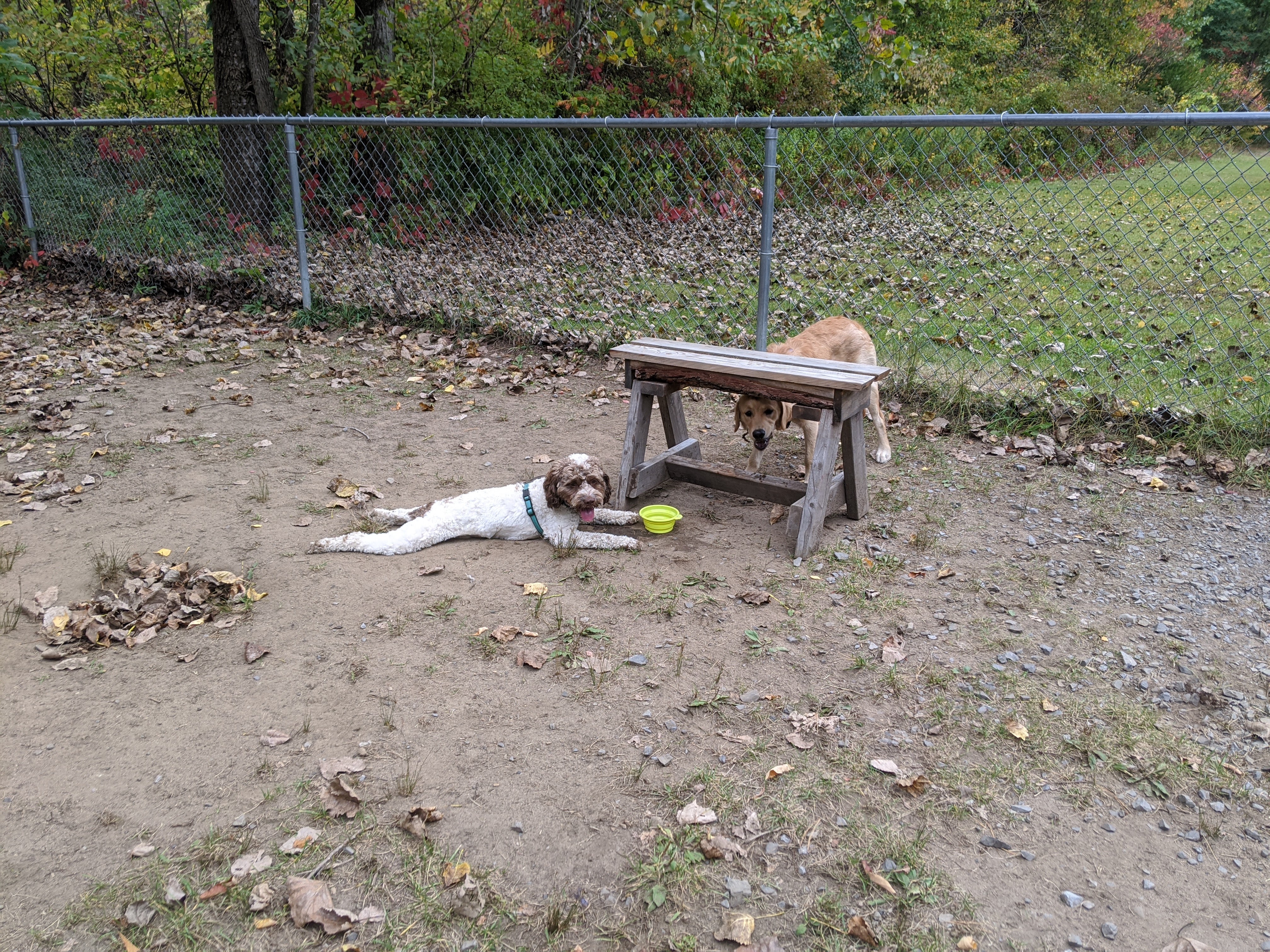 Kelley Park Dog Park