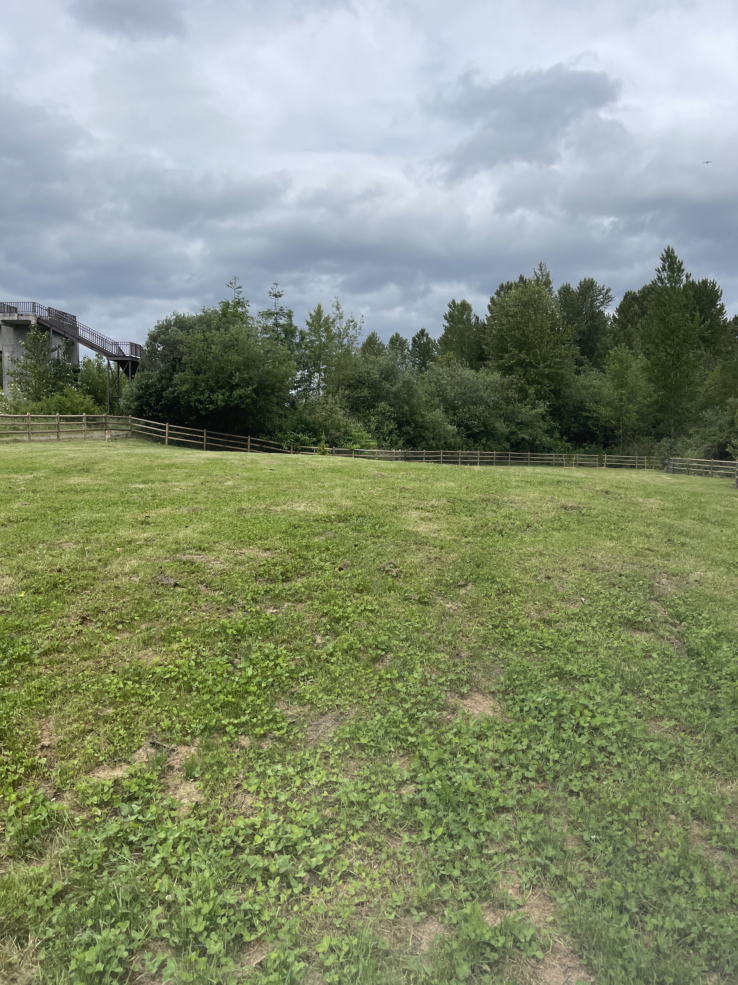 Lowell Riverfront Dog Park