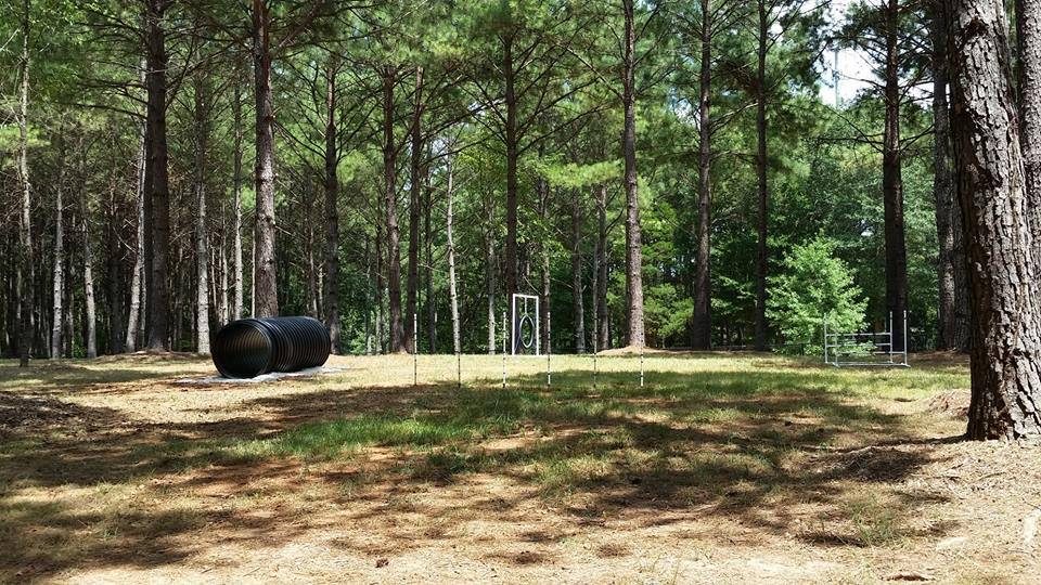 Alexander Park Dog Run