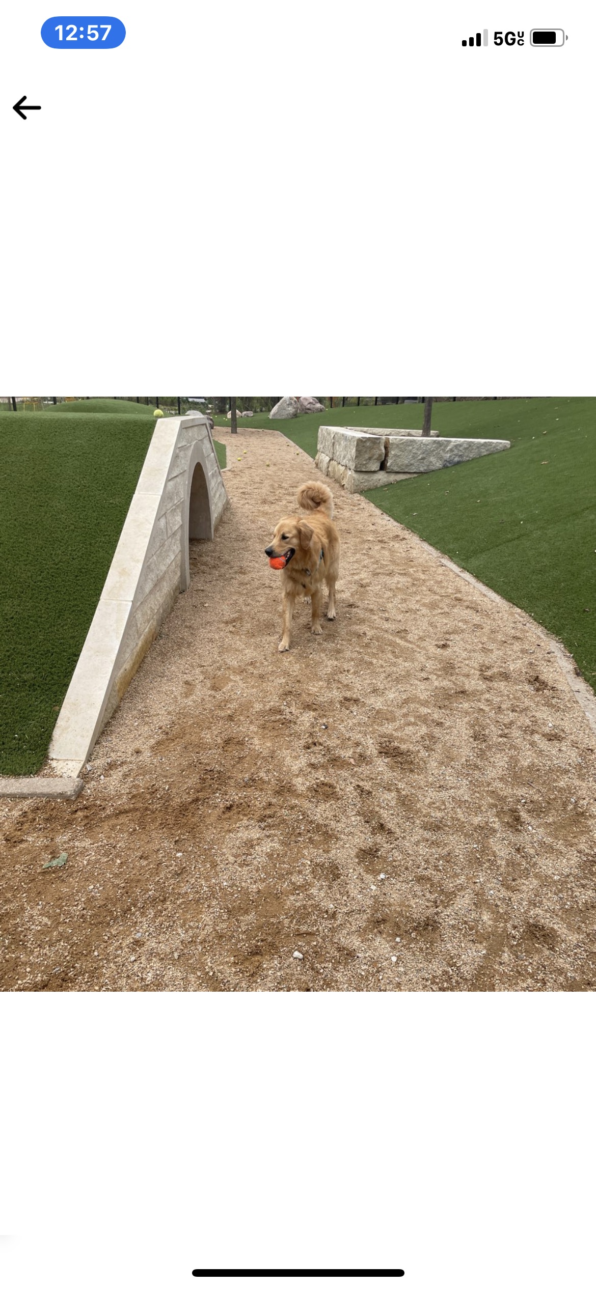 Gene Leahy Mall Dog Park