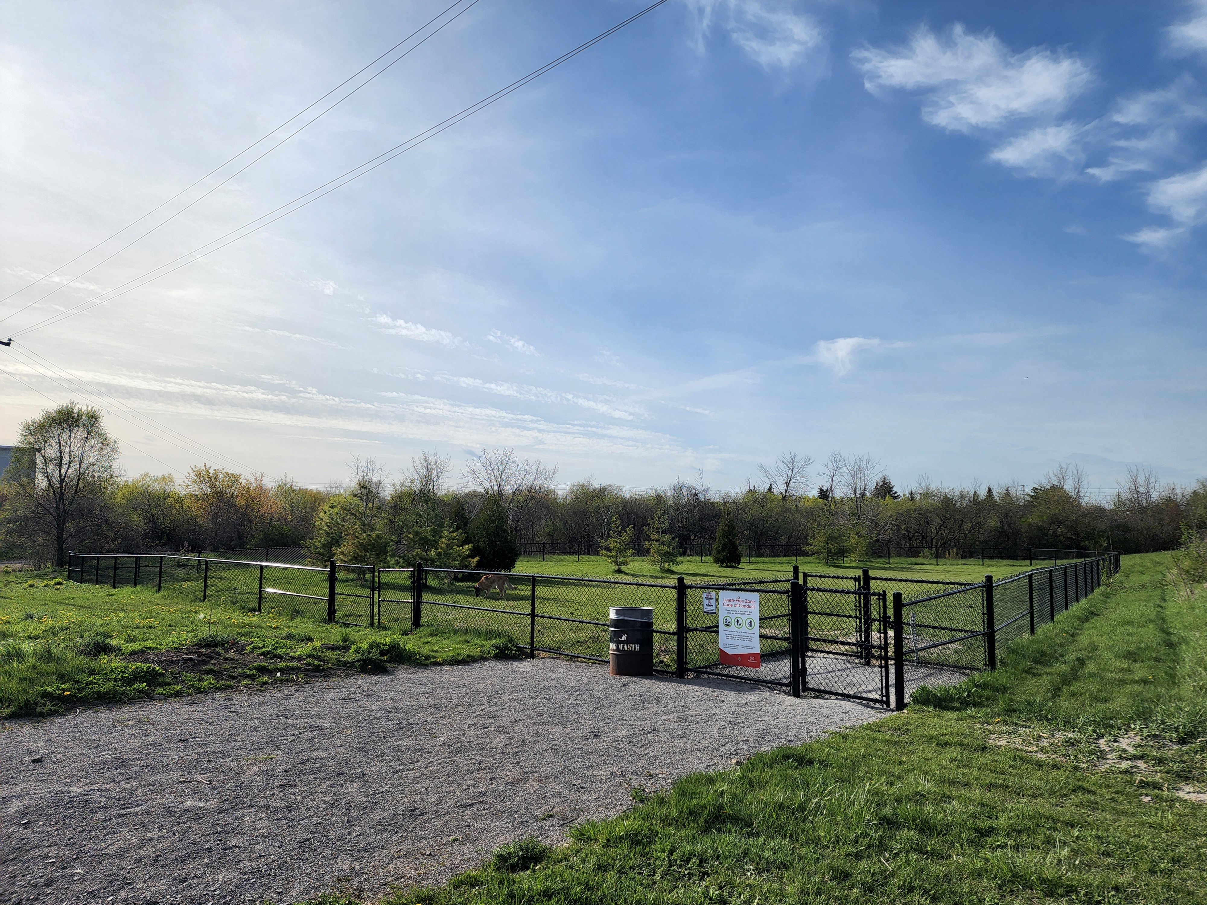 Paul Coffey Dog Park