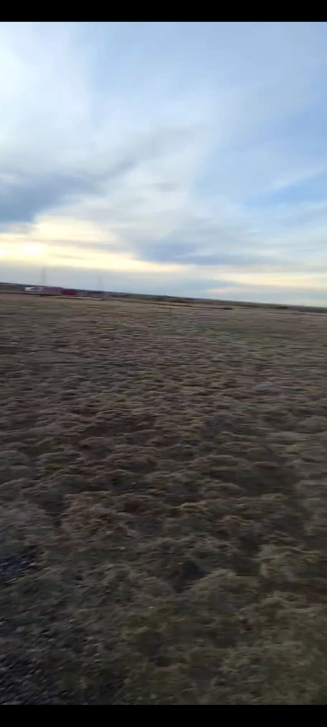 Taber Off-Leash Dog Park