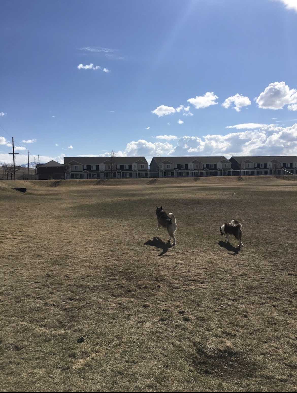 Blacksmith Fork Dog Park