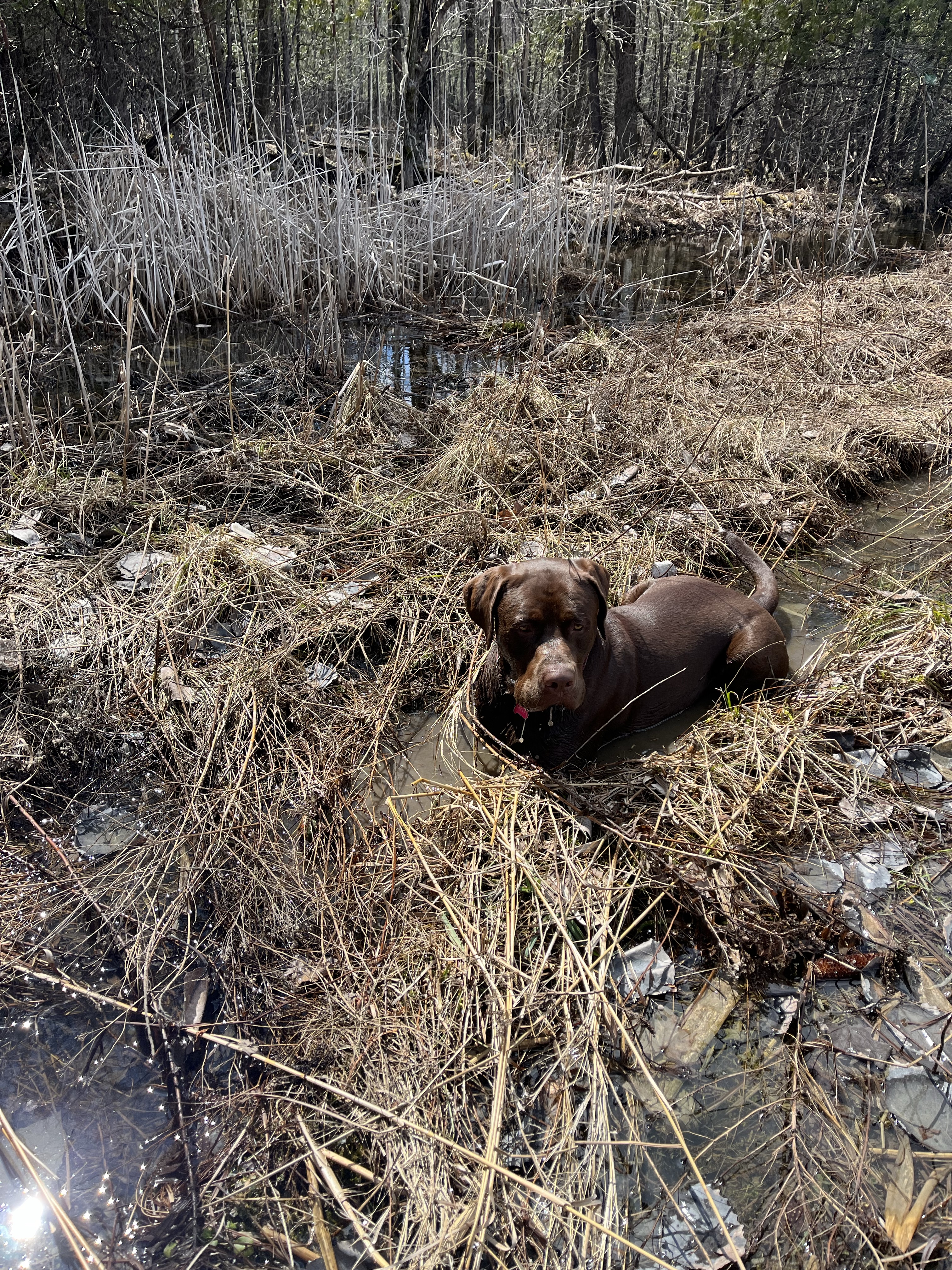 Sentier de la nature Keith-Sornberger
