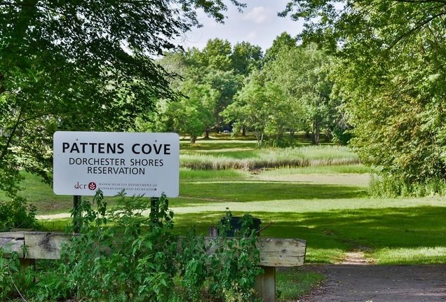 Pattens Cove