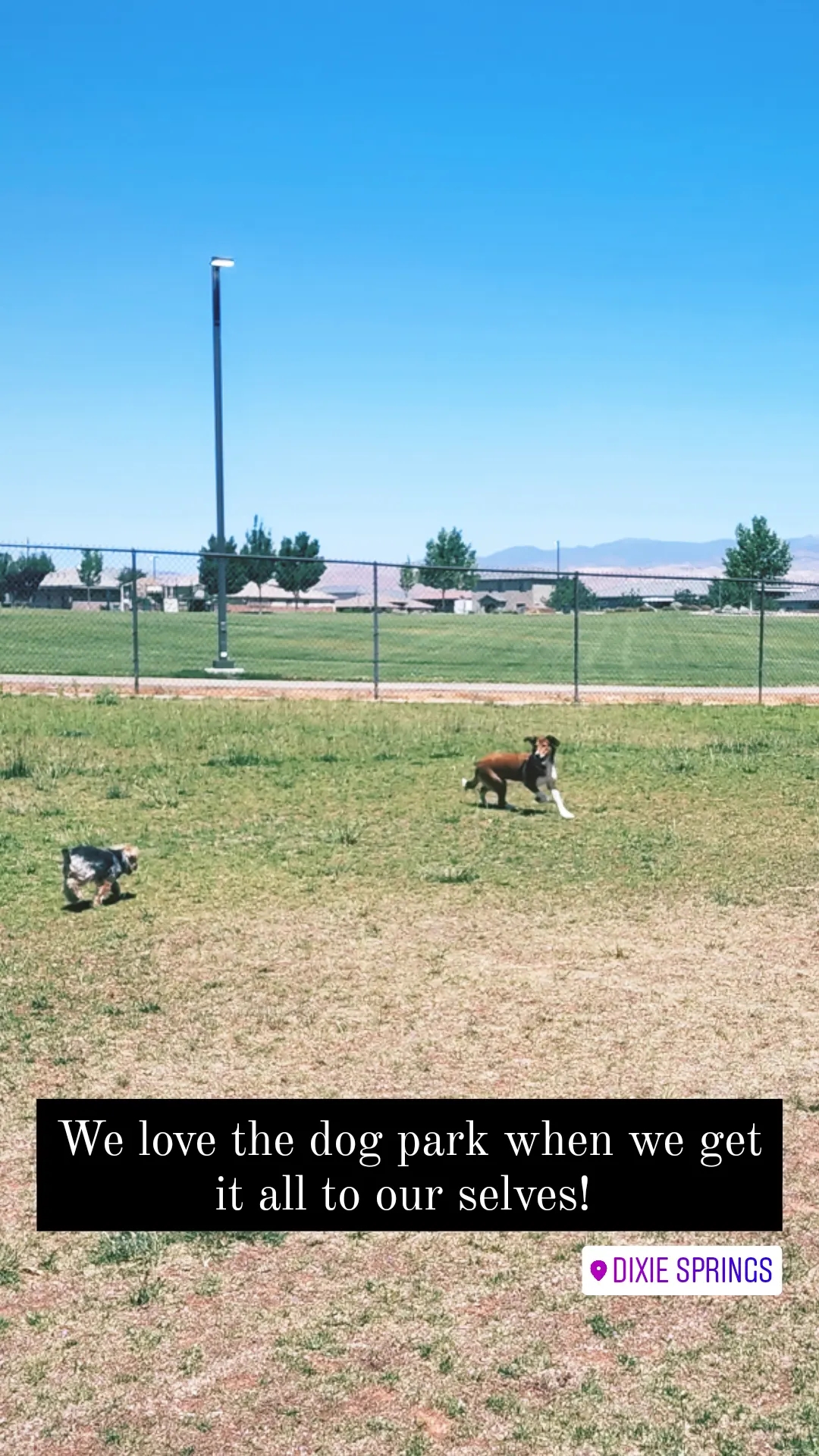 Dixie Springs Dog Park