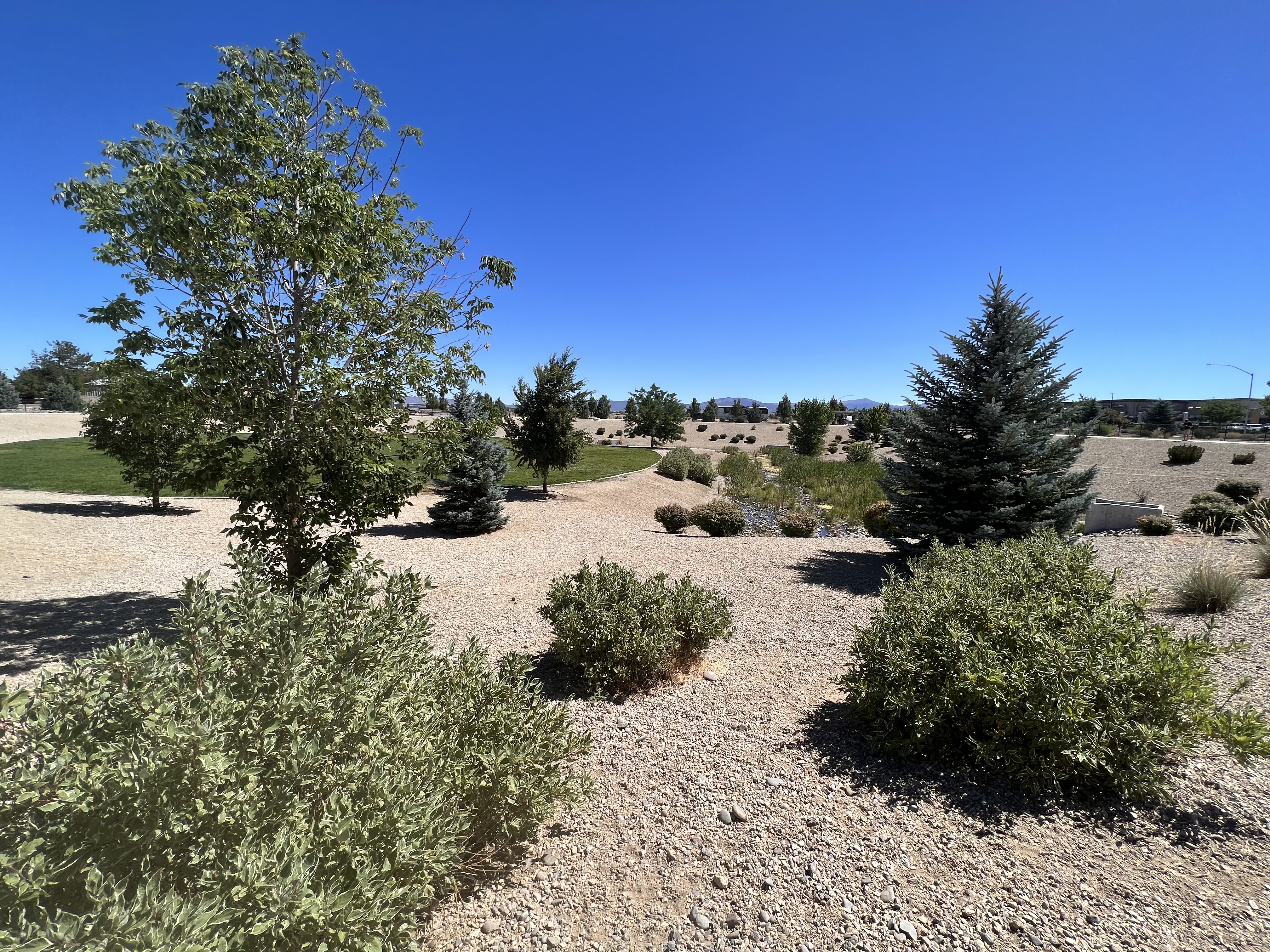 Gardnerville Dog Park