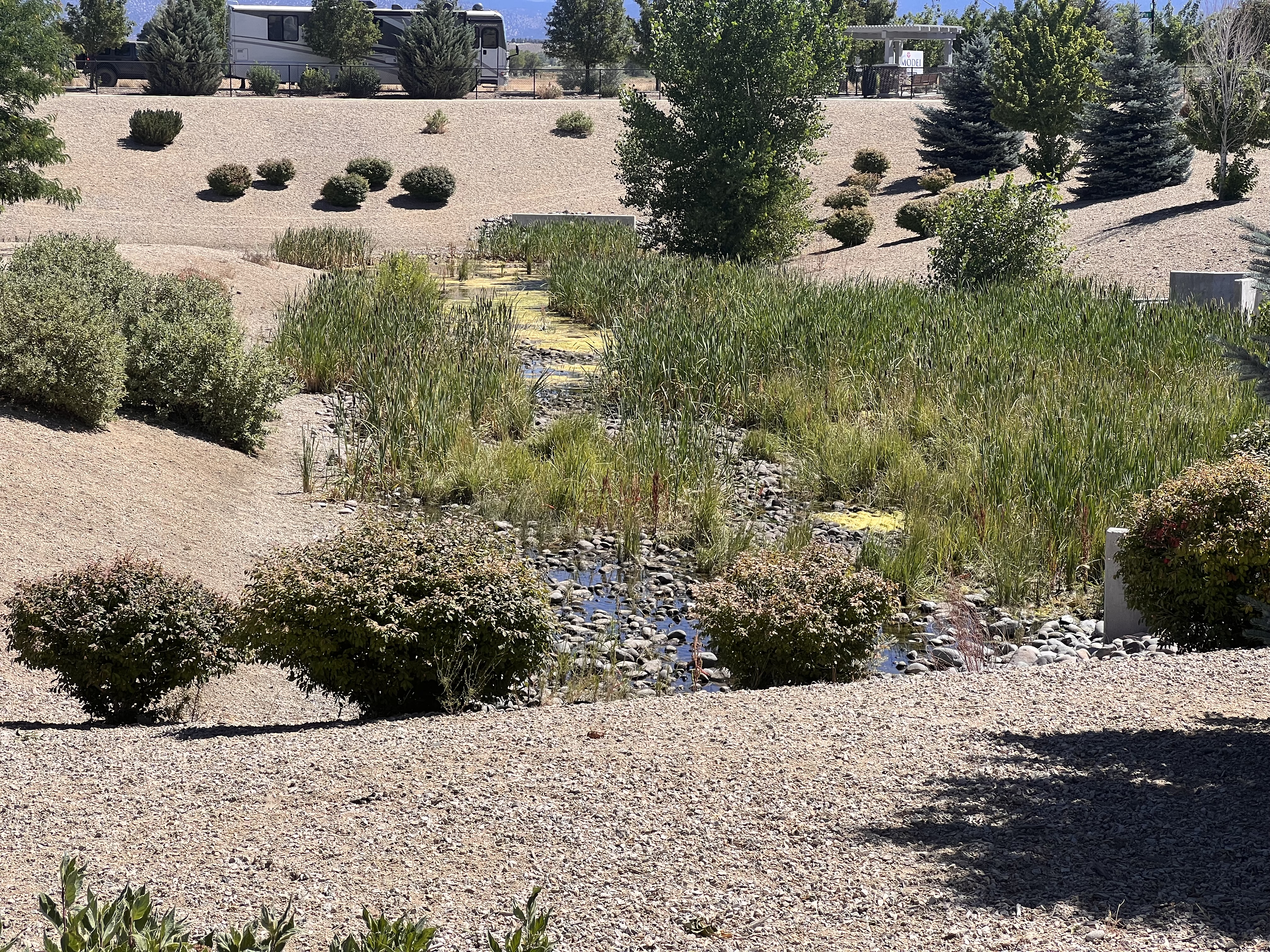Gardnerville Dog Park