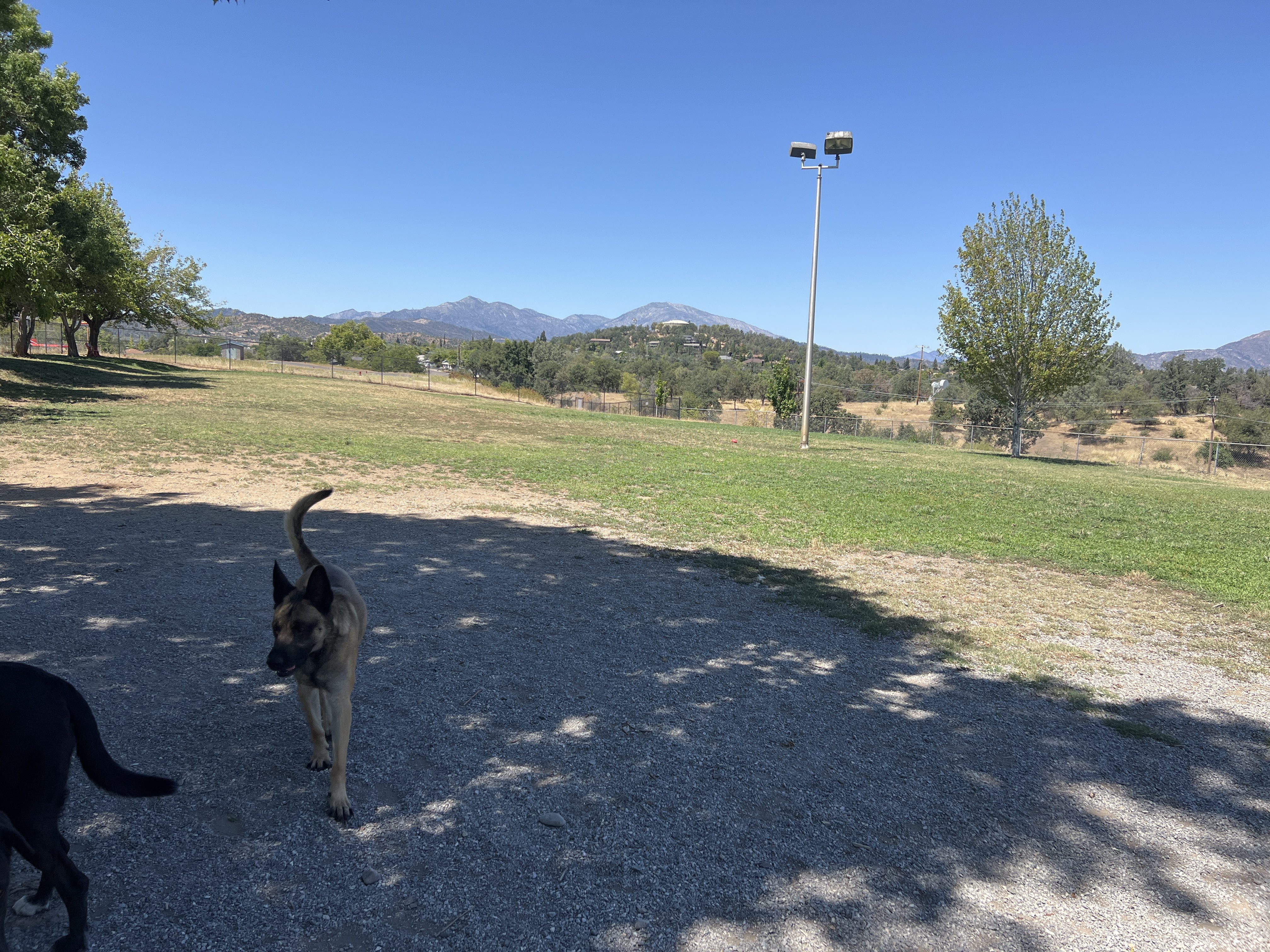 Benton Airpark Dog Park