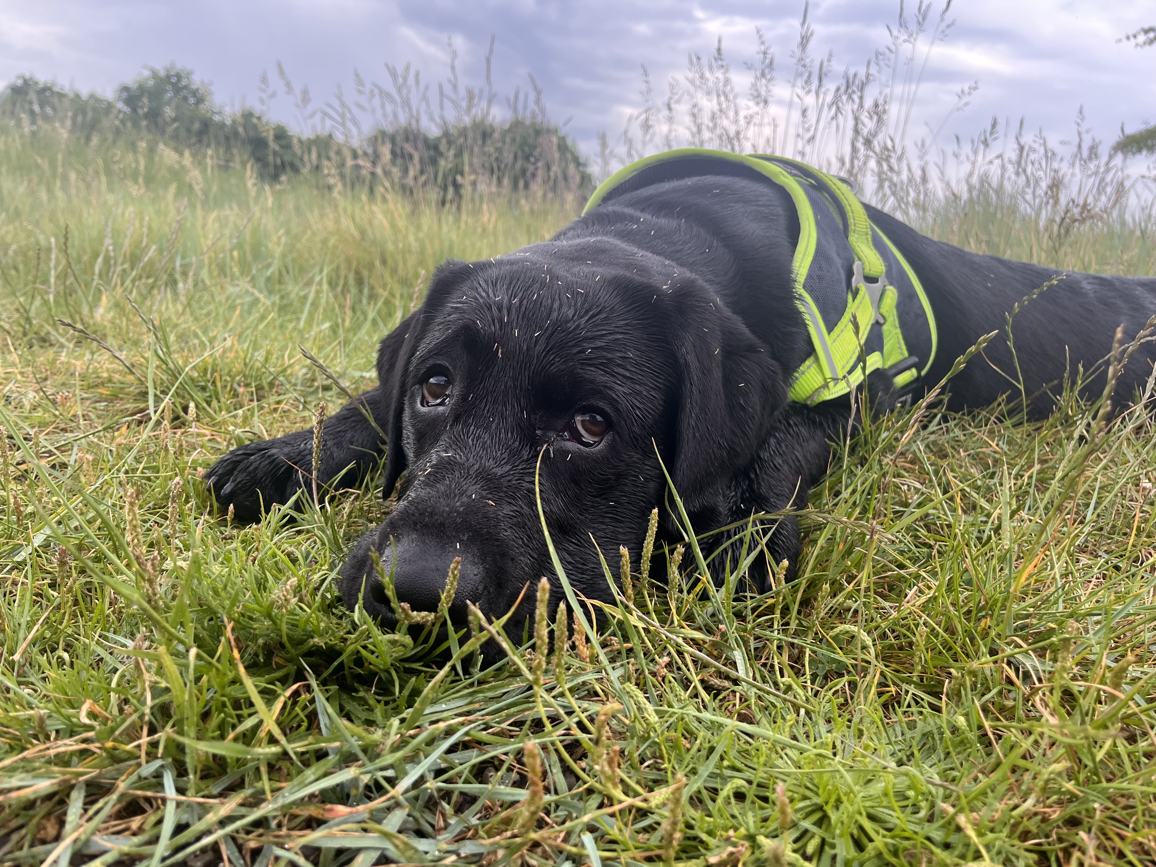 Wicor Recreation Ground