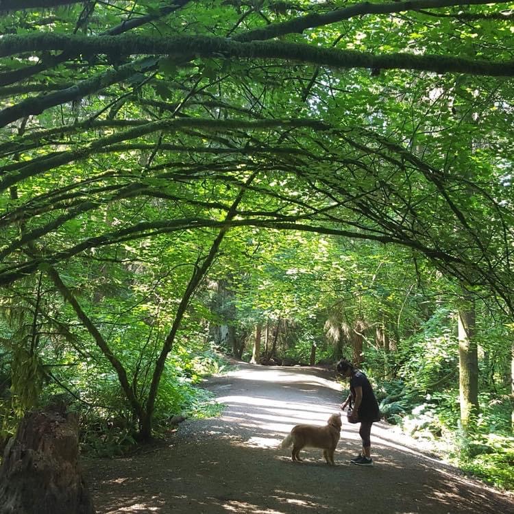 Mundy Park Dog Friendly Trails