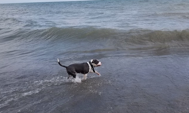 Madison Township Park