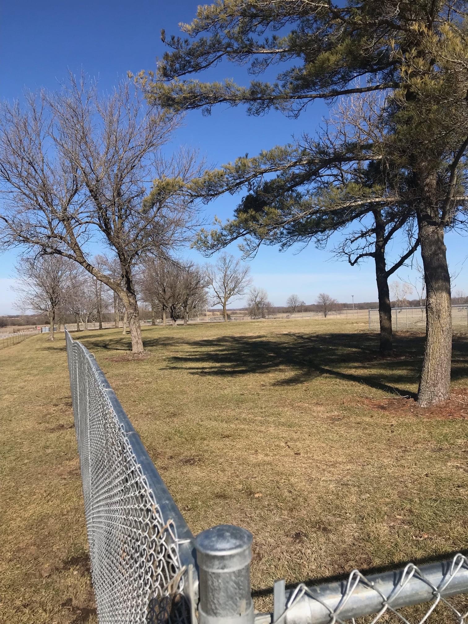 Aurora Dog Park—Baldwin Park