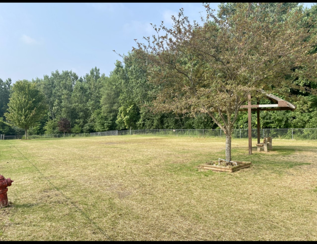 Cascades Humane Society Paw Playground