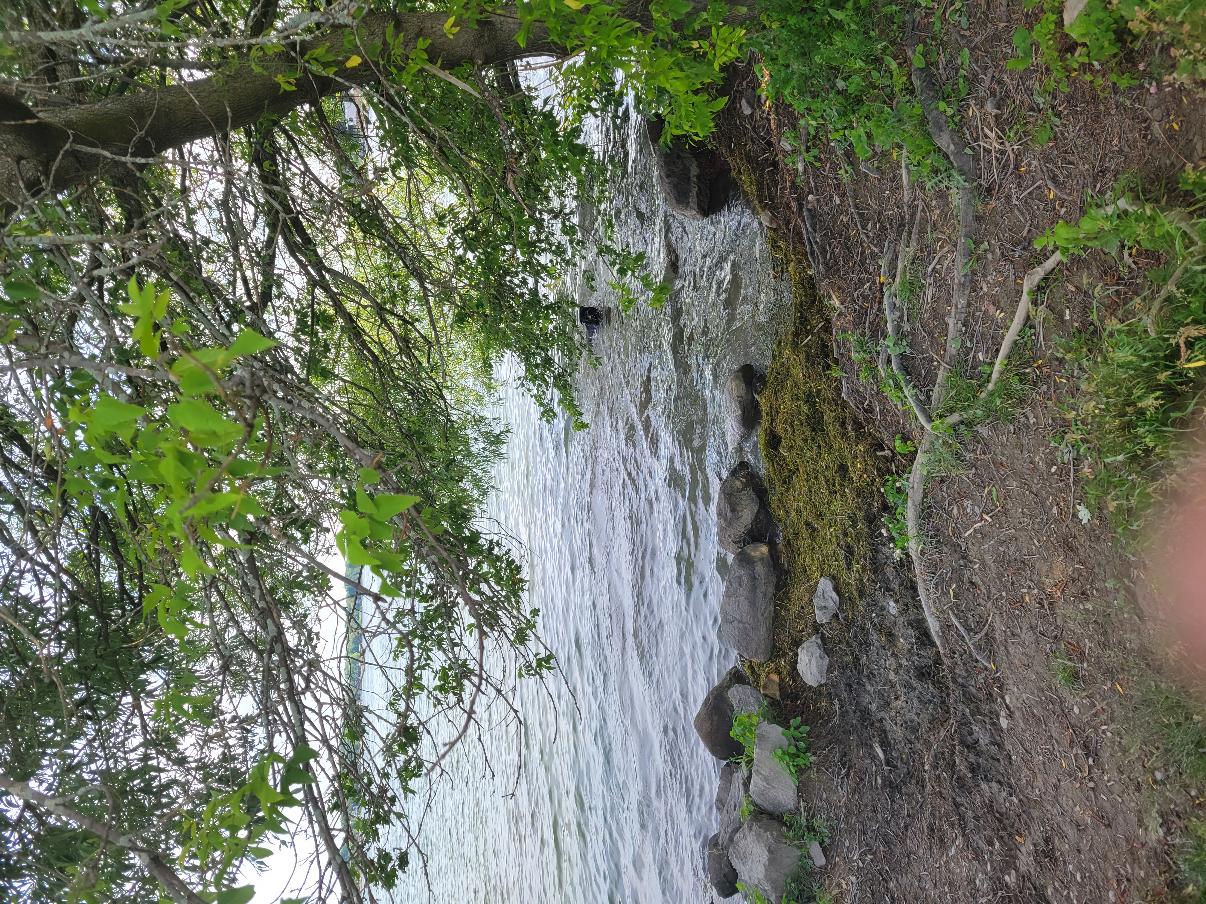 Grass Creek Dog Beach