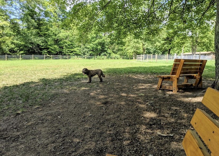 Centerville Mills Dog Park