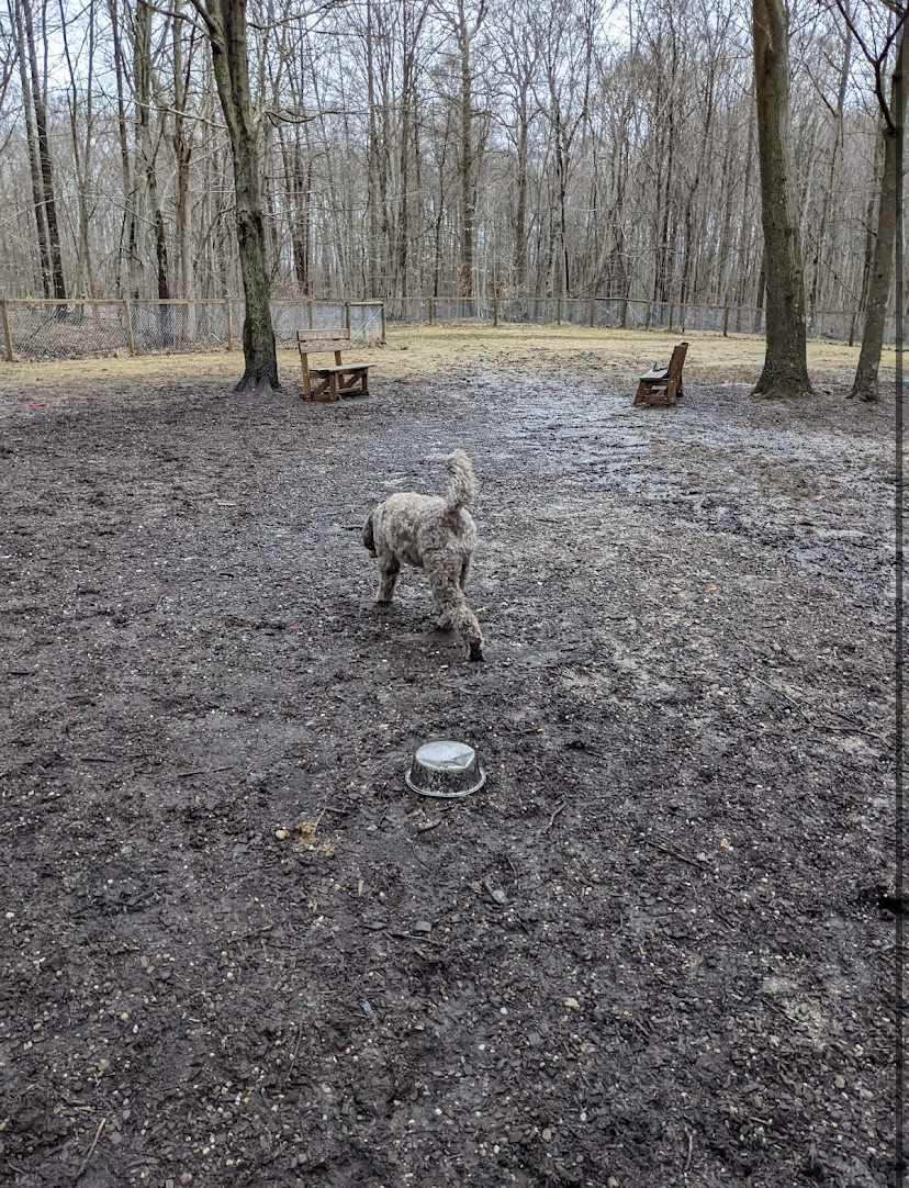 Centerville Mills Dog Park