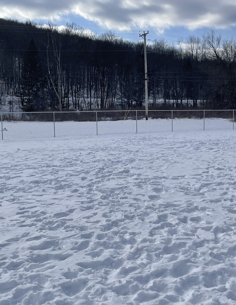 Ludlow Dog Park at Fletcher Fields