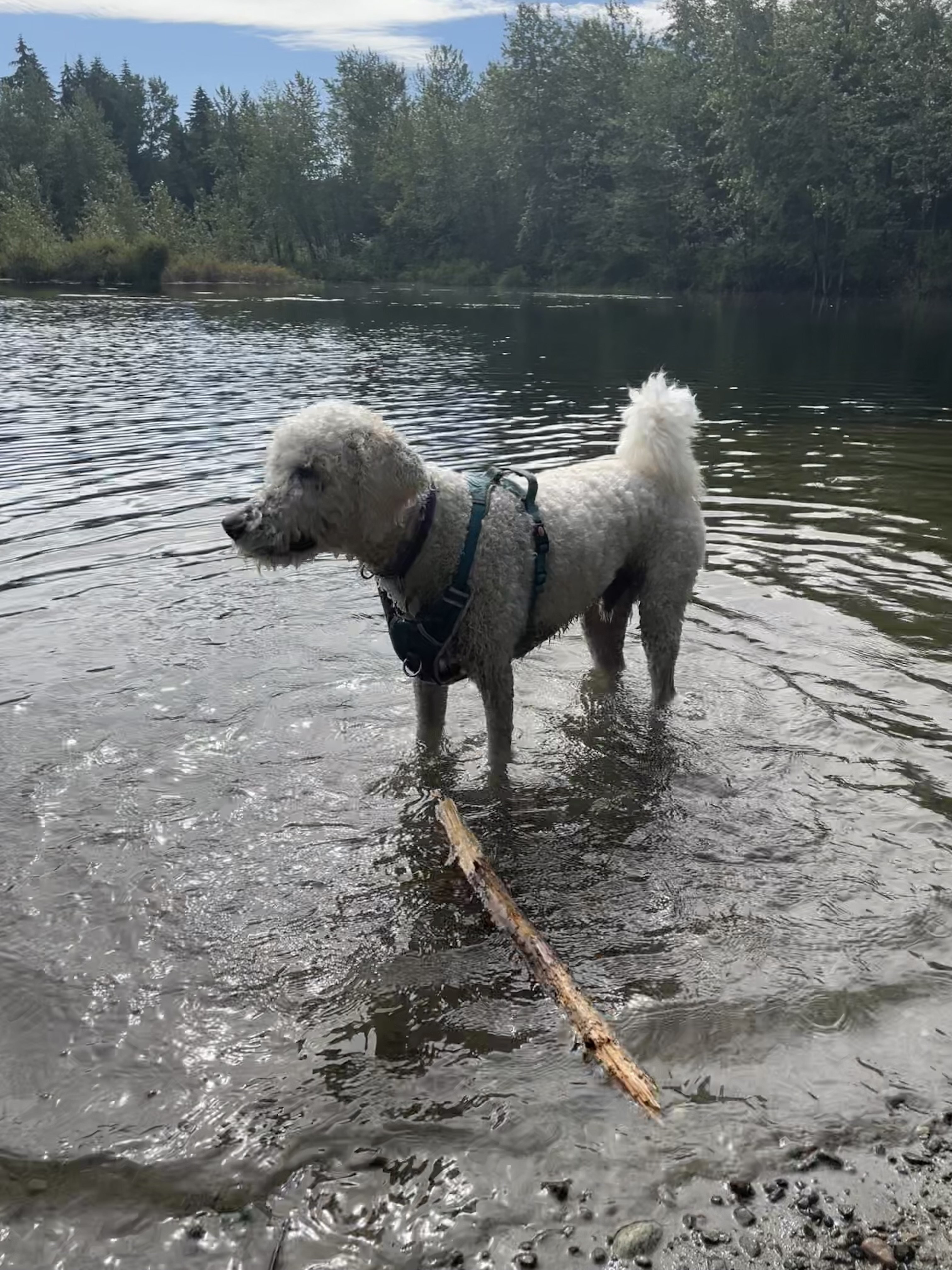 Noel Booth Community Park