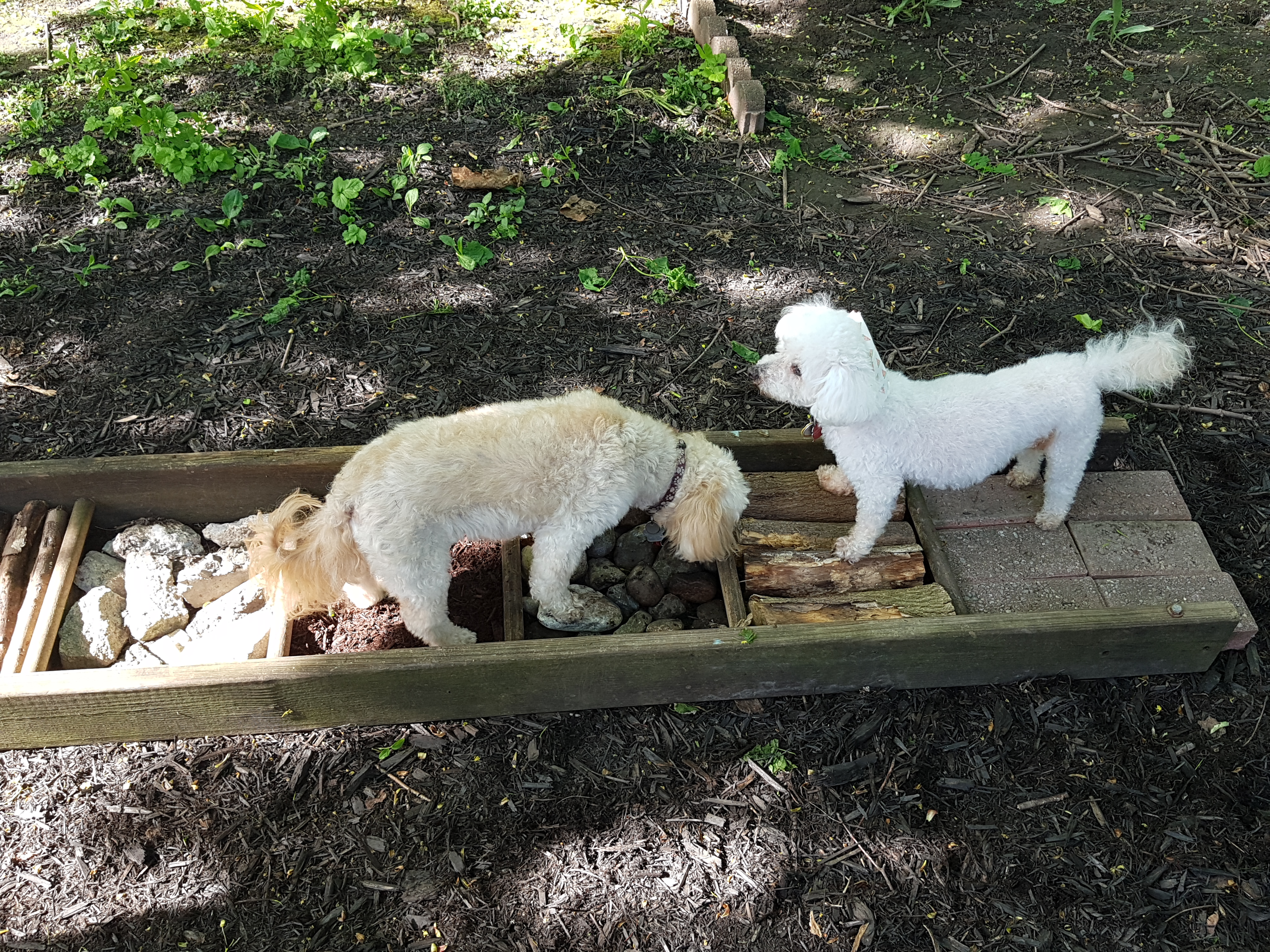 Pupvacay's Sniffspot (Private)