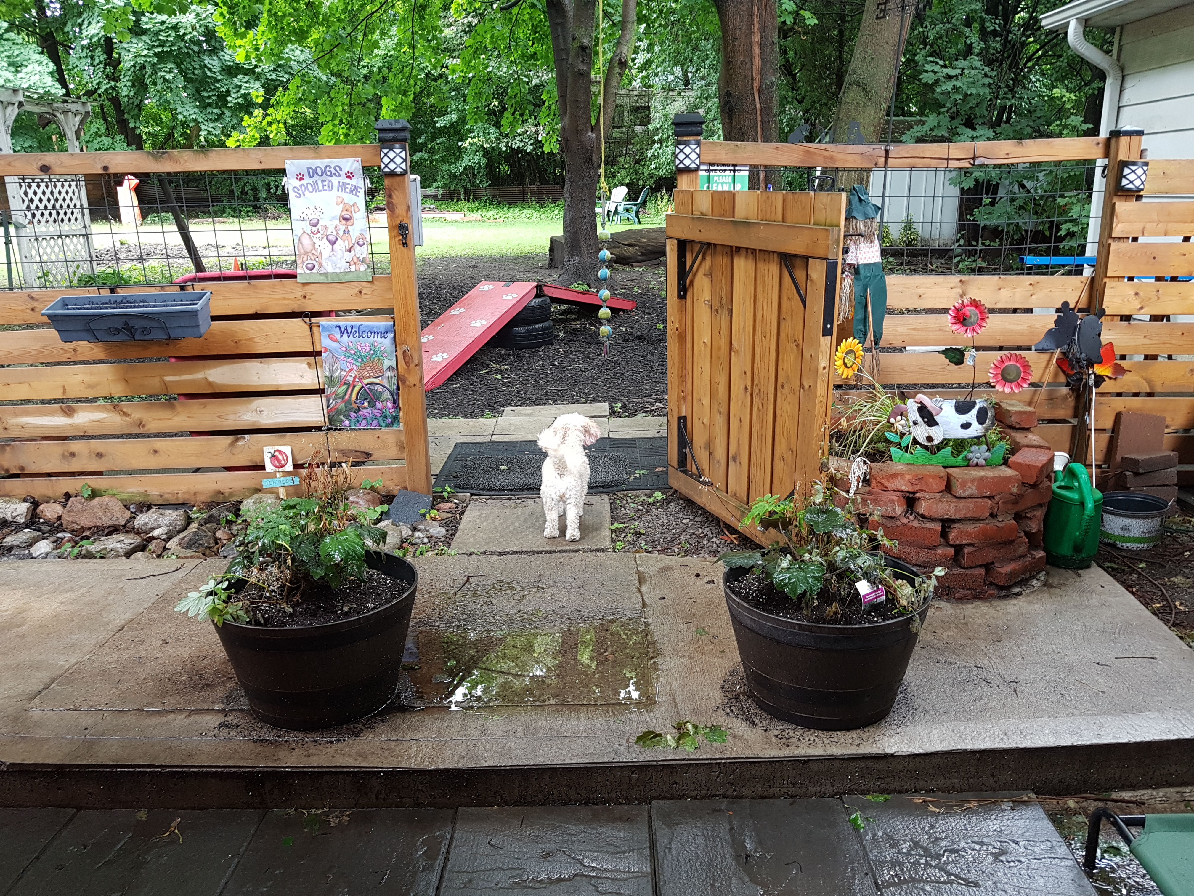 Pupvacay's Sniffspot (Private)