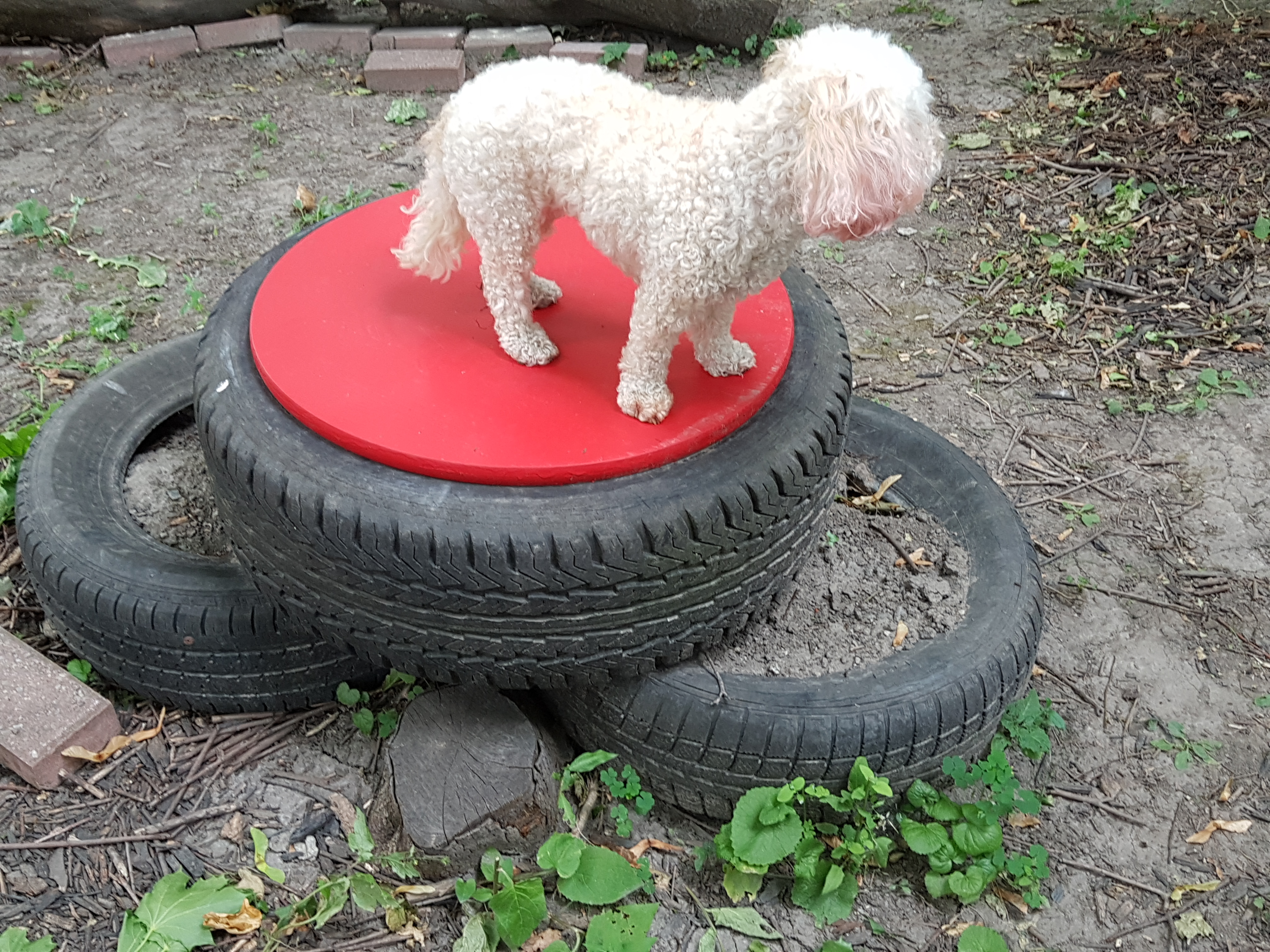 Pupvacay's Sniffspot (Private)