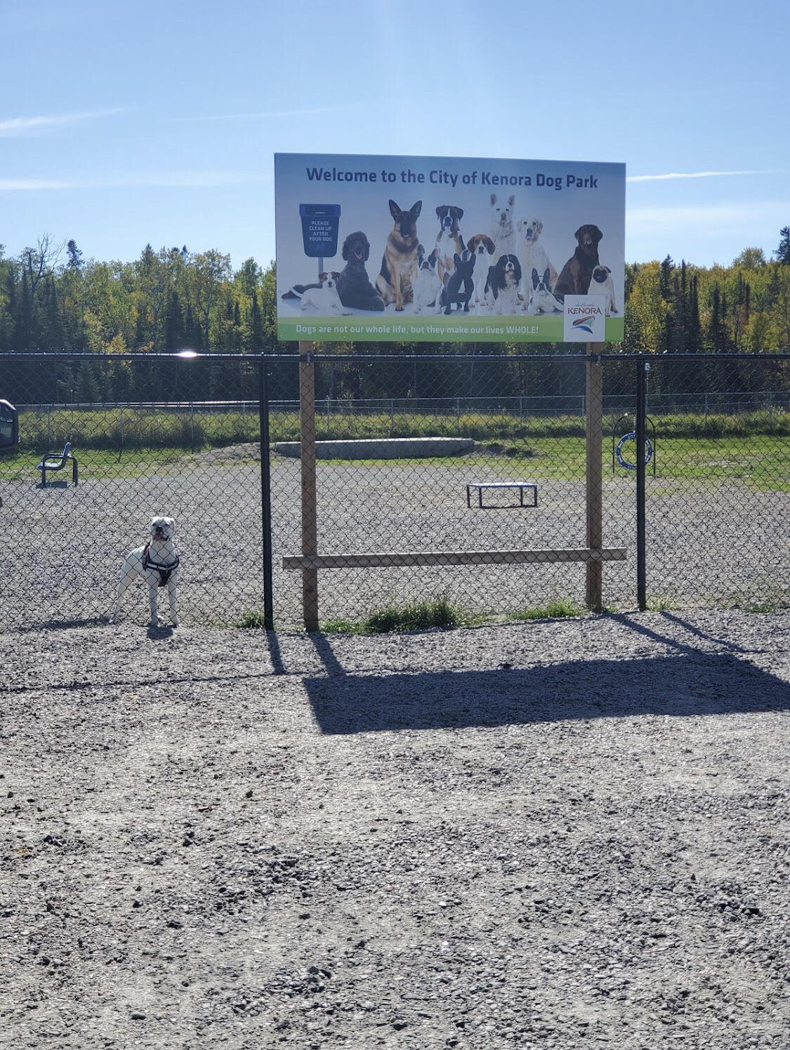 City of Kenora Dog Park