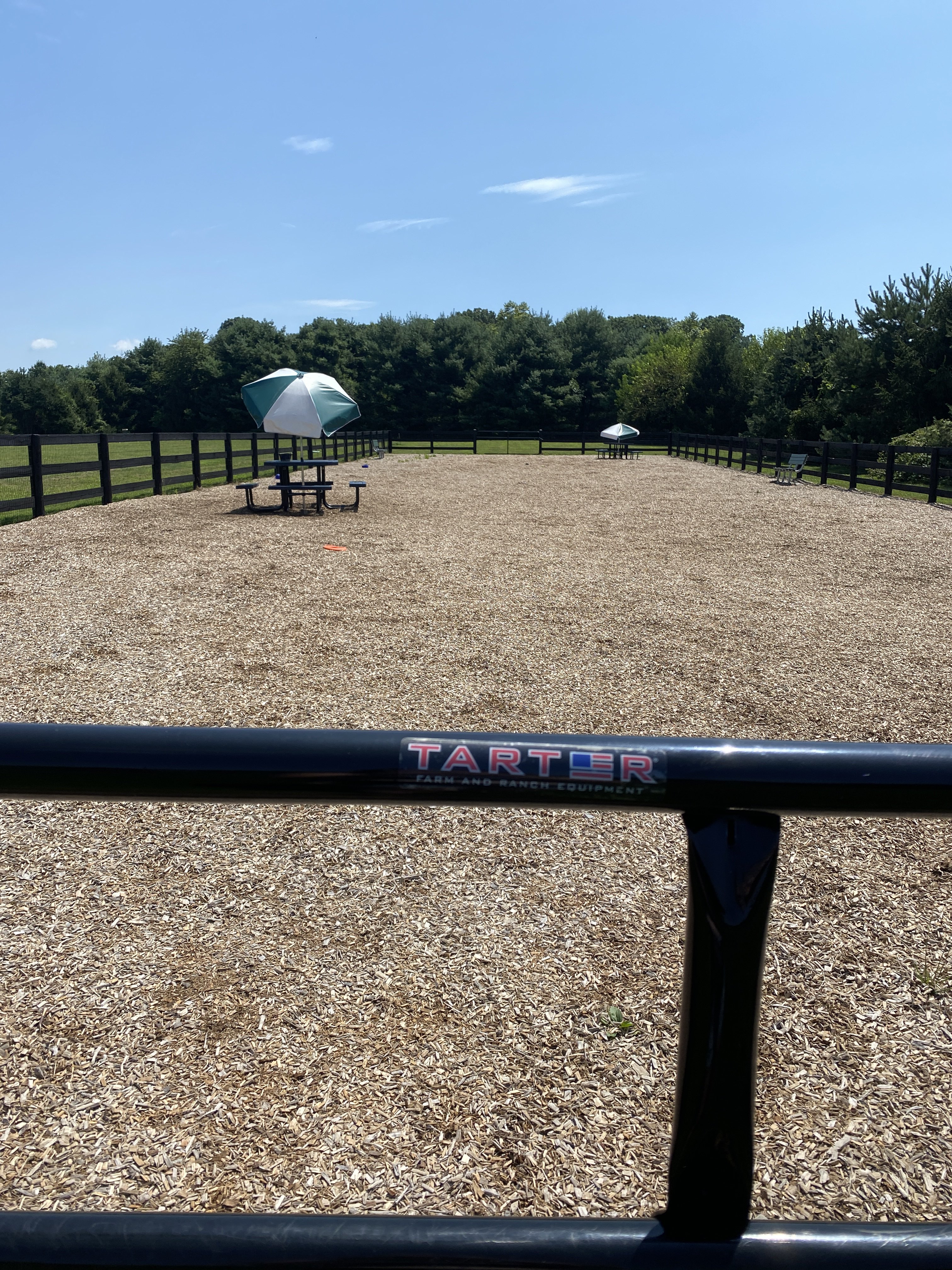 Franklin Park Dog Park