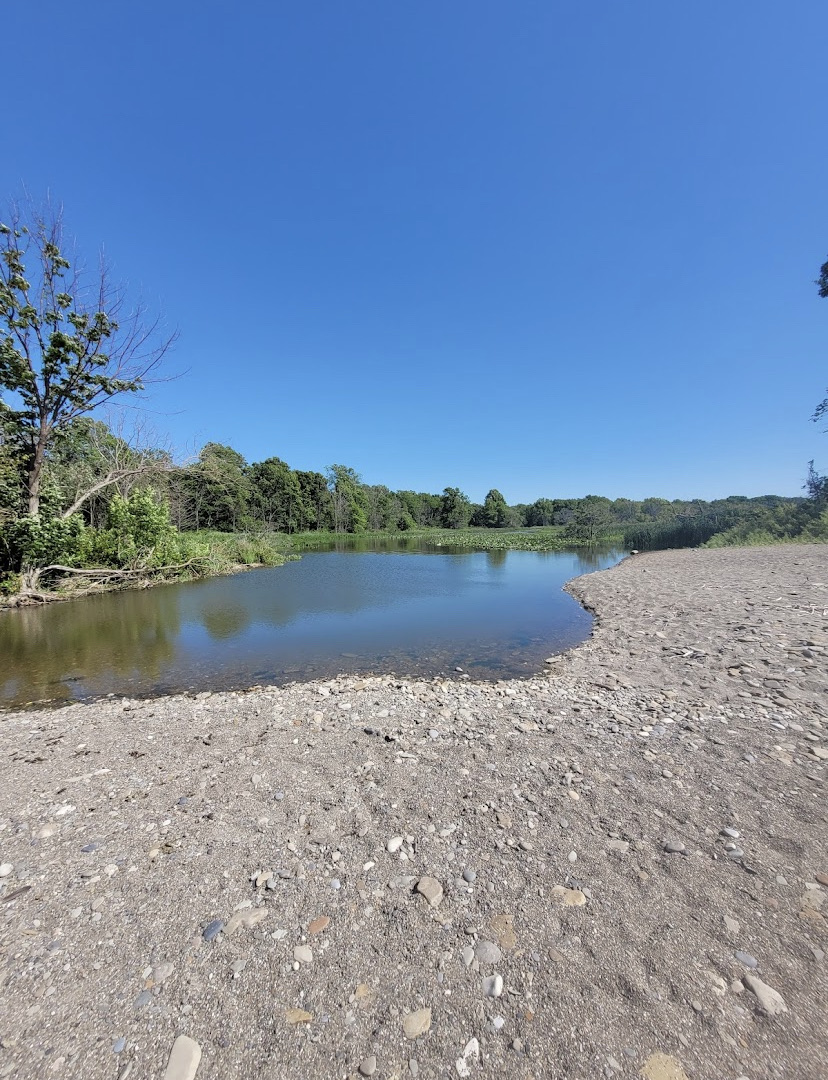 Arcola Creek Park